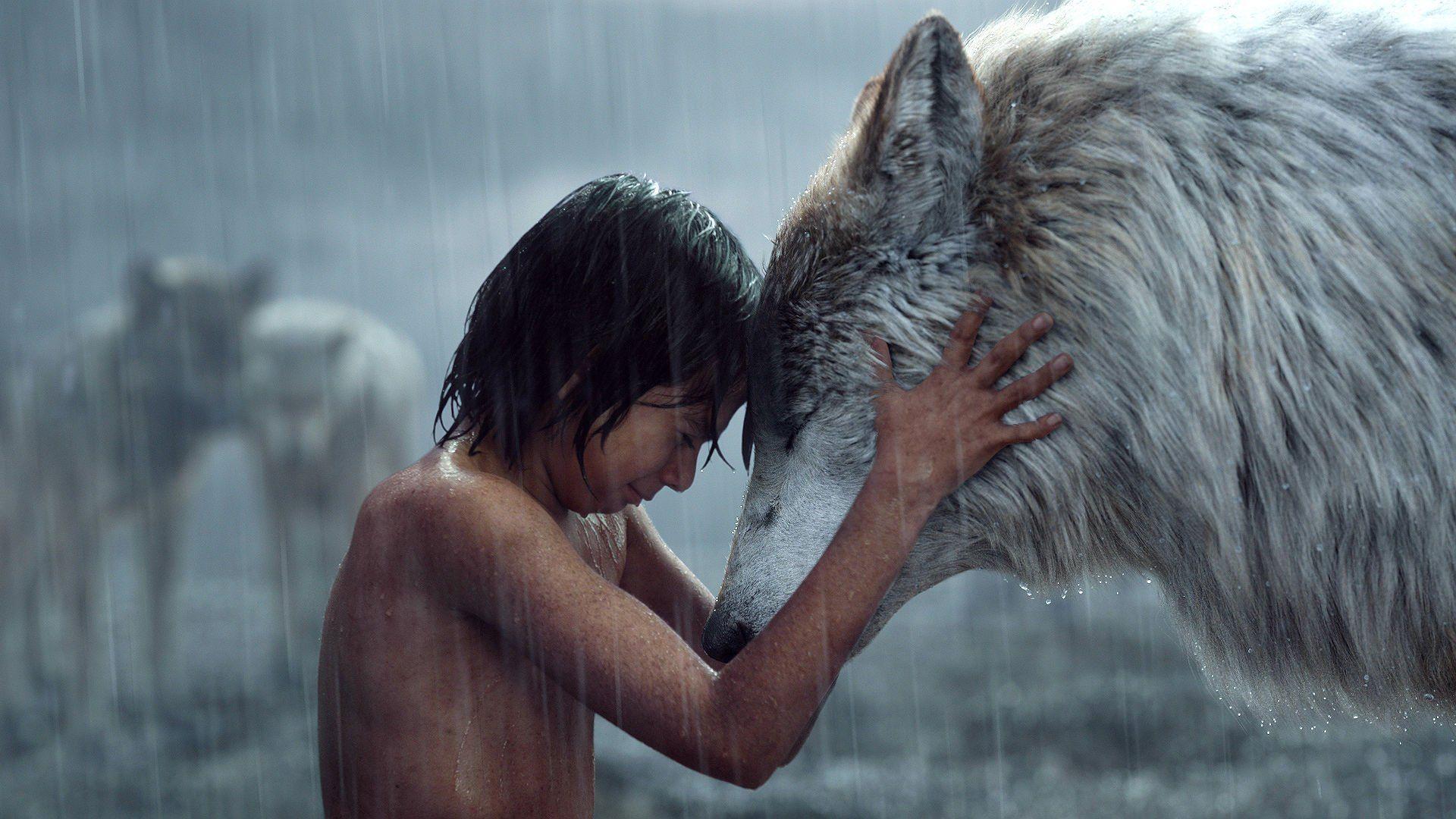 Mowgli And Wolf The Jungle Book Wallpaper