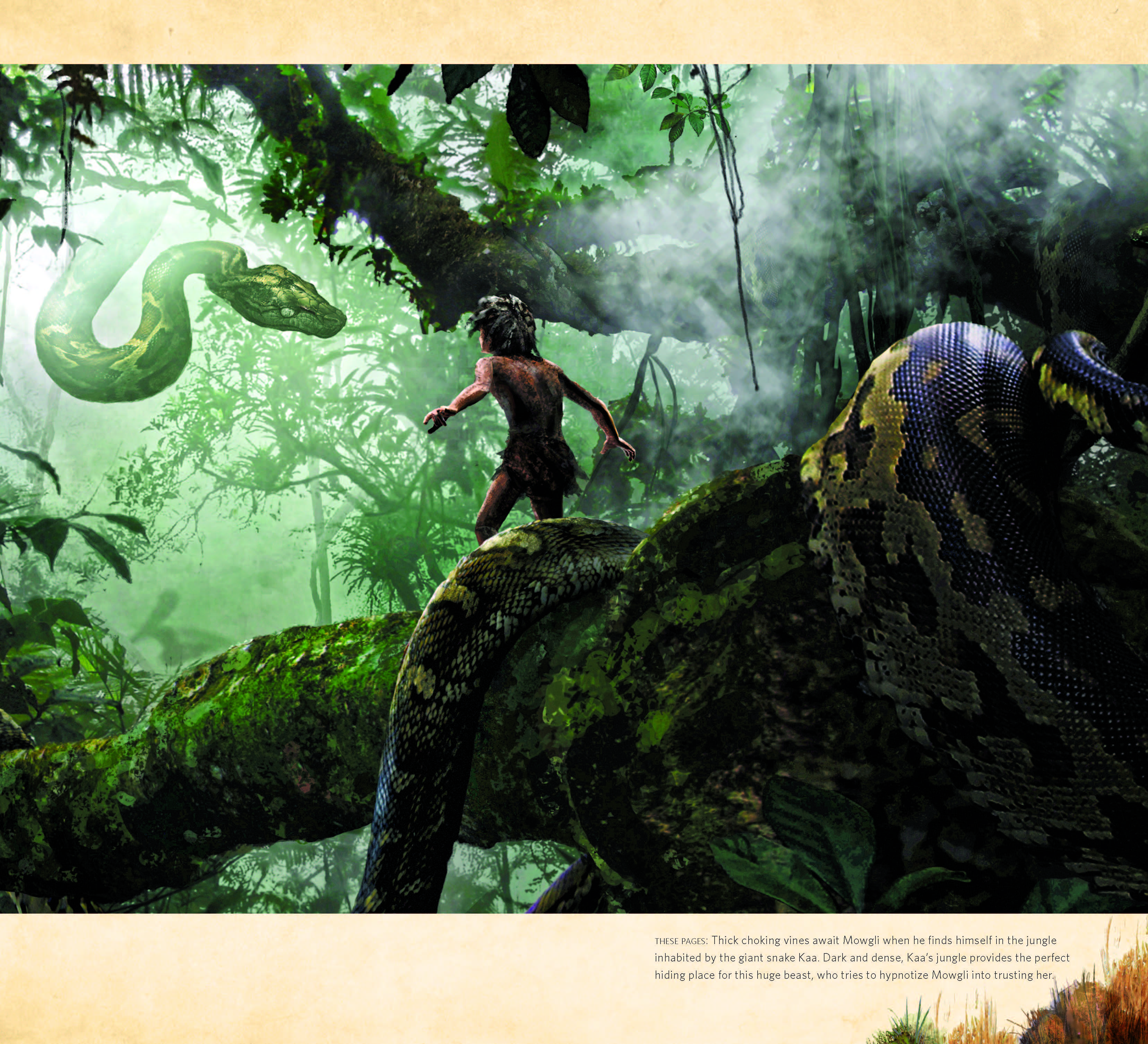 The Art Of The Jungle Book. Animation Drawings. Jungle