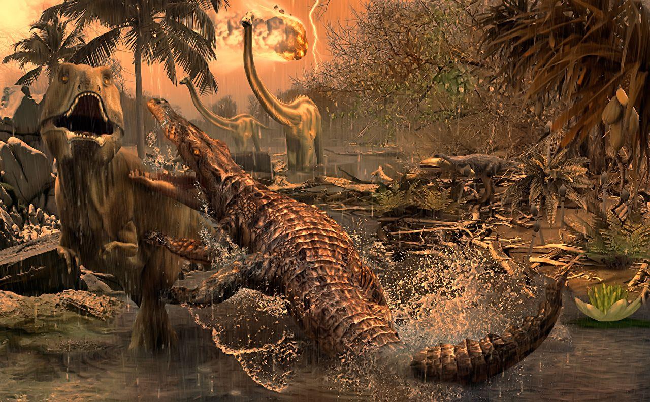 Wallpaper Tyrannosaurus rex Crocodiles Fight Animals Ancient
