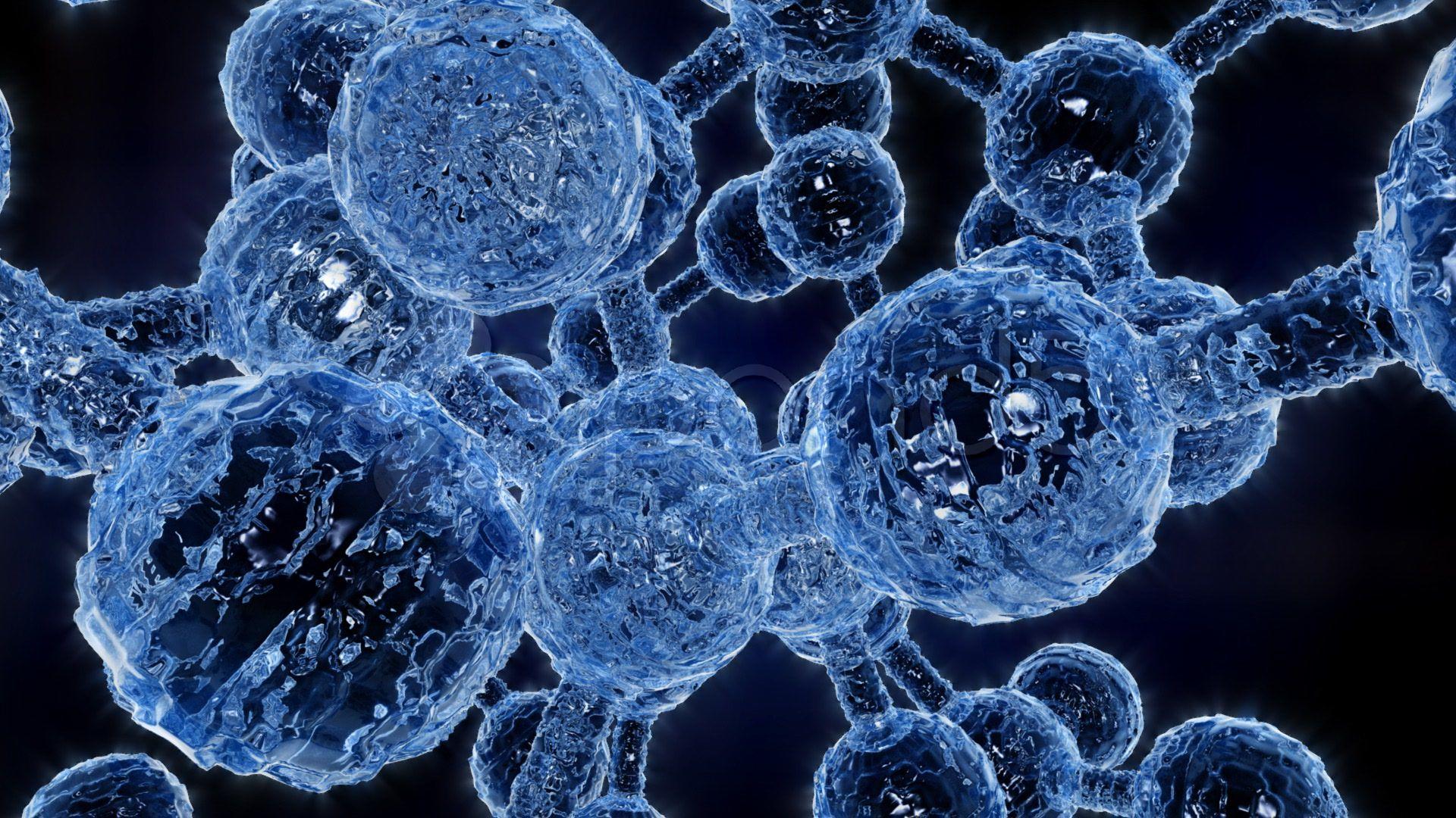 Первая синтетическая бактериальная клетка