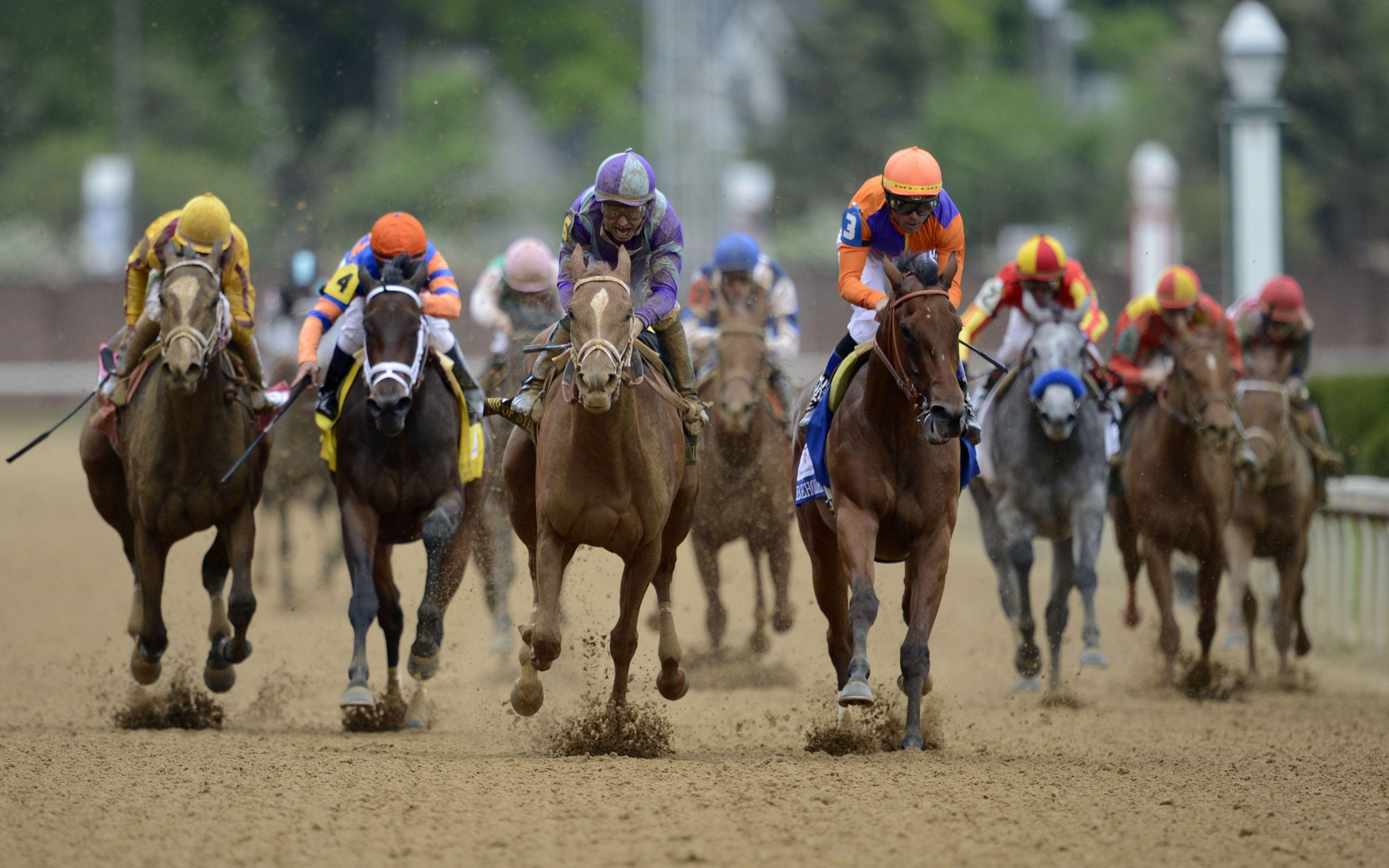 Triple Crown Of Thoroughbred Racing Wallpapers Wallpaper Cave