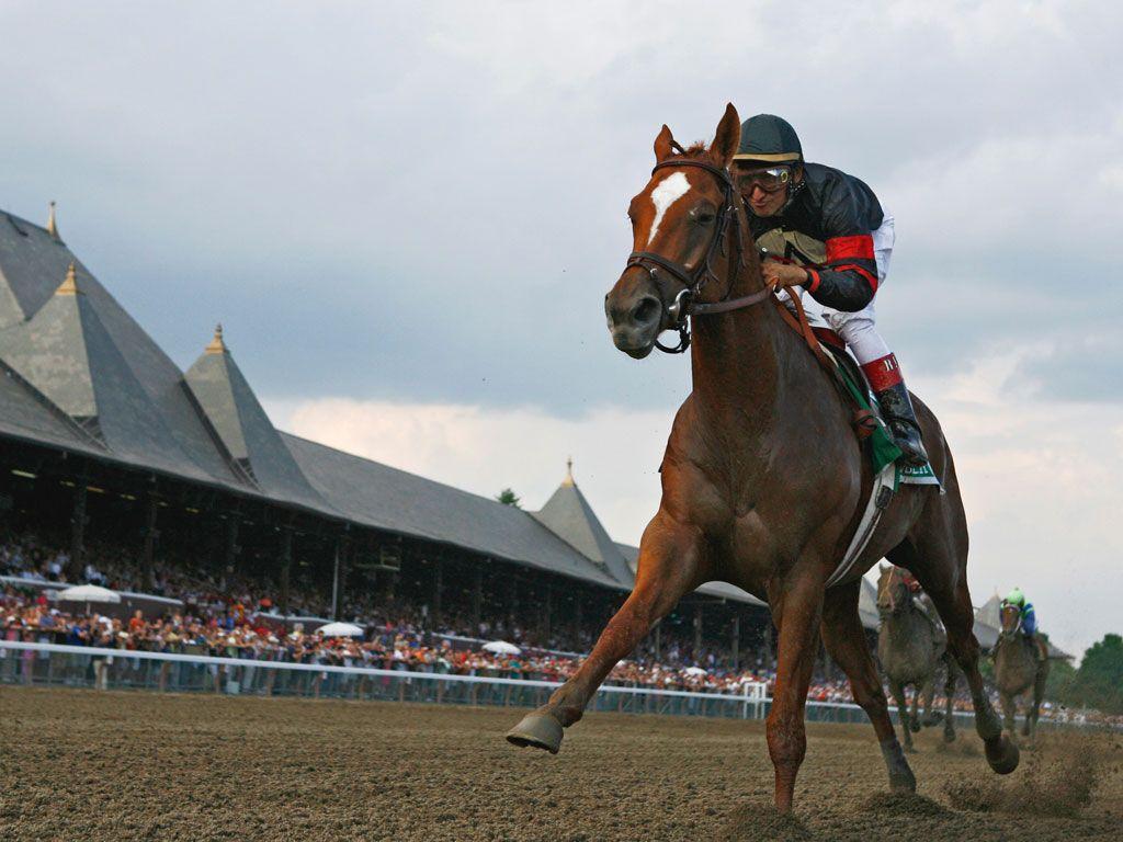 bittersweet. Horse racing, Horse racing bet, Horses