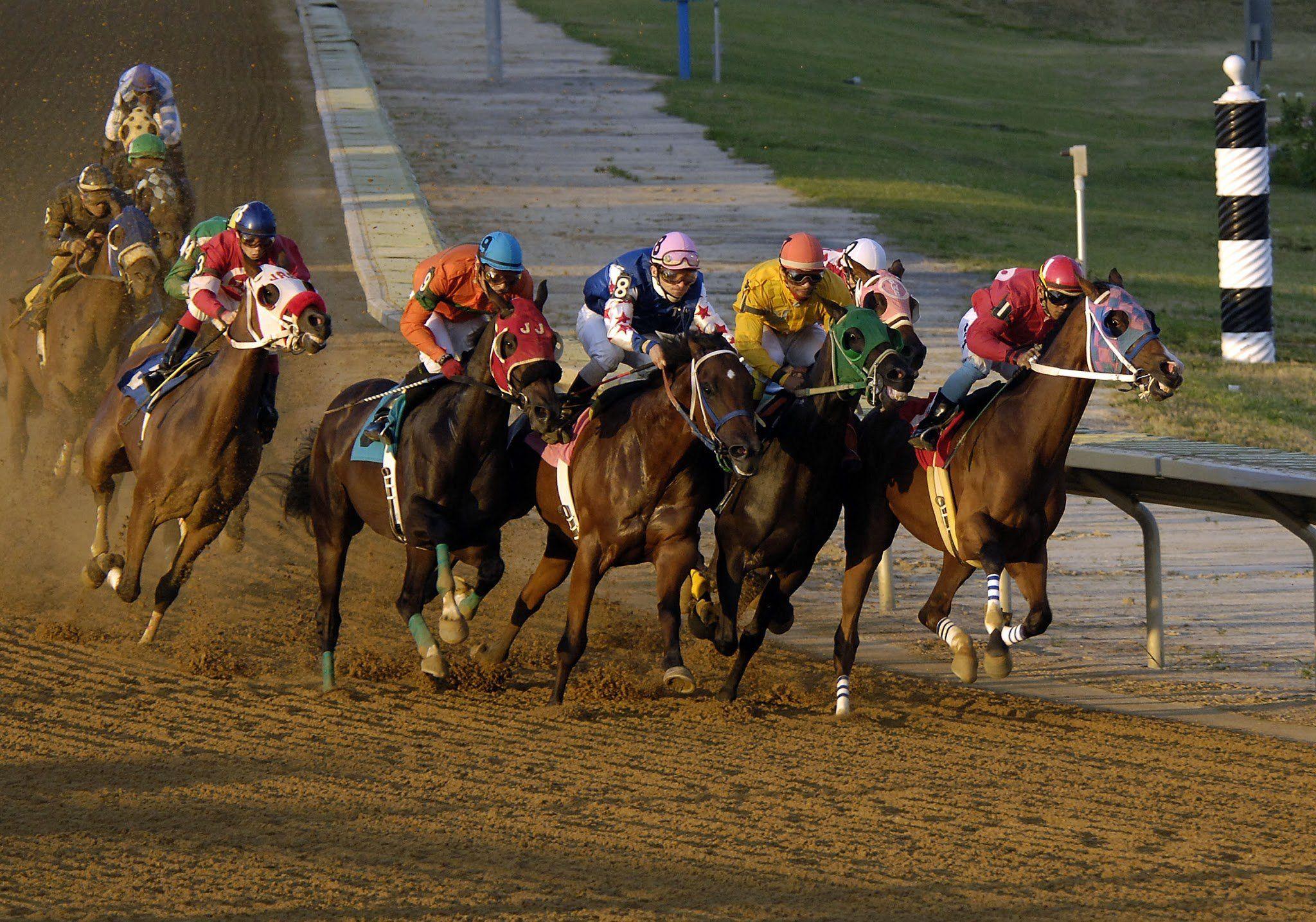 Horse Racing HD Wallpaper. Background. Free