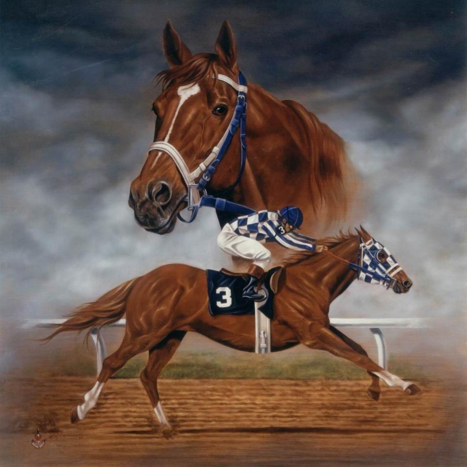 Secritariat aka the Greatest Race Horse to Ever Live. e q u i n e