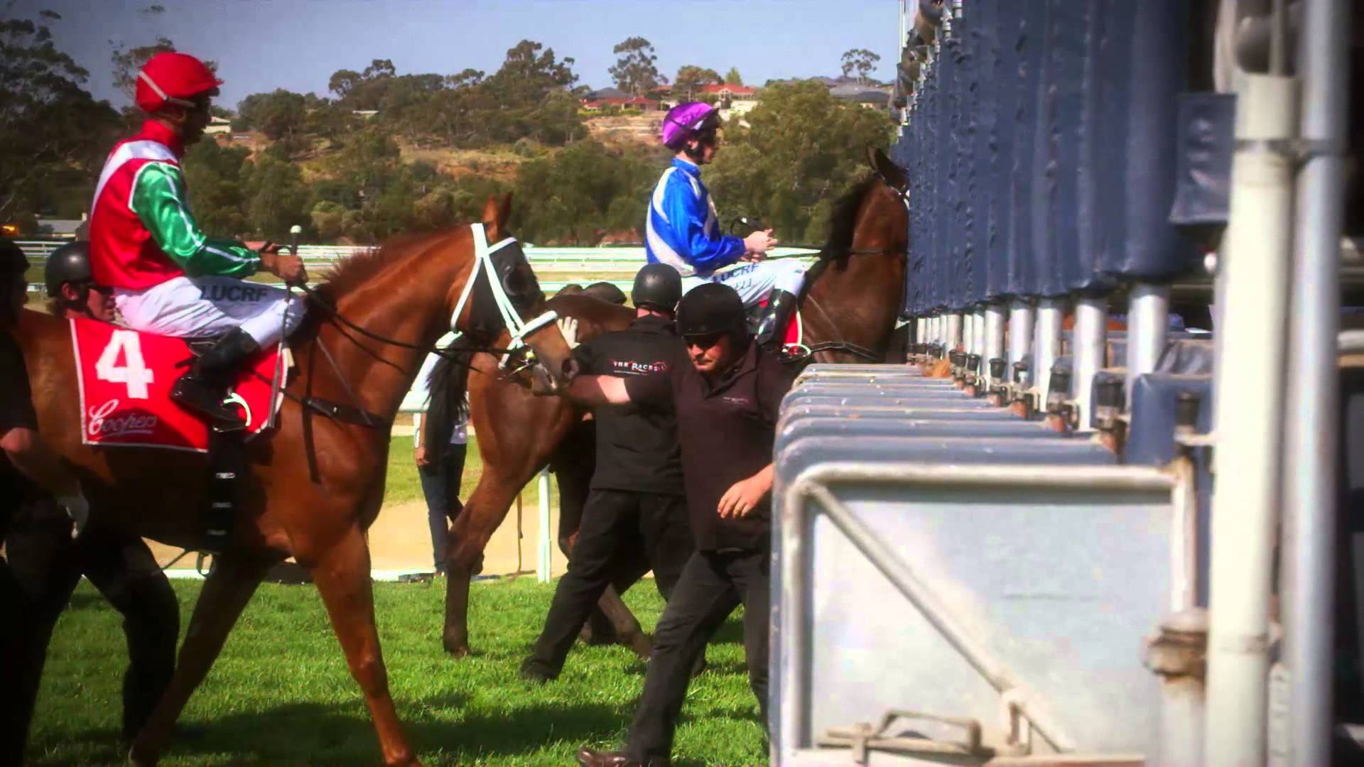 Thoroughbred Racing in South Australia. Industry Overview