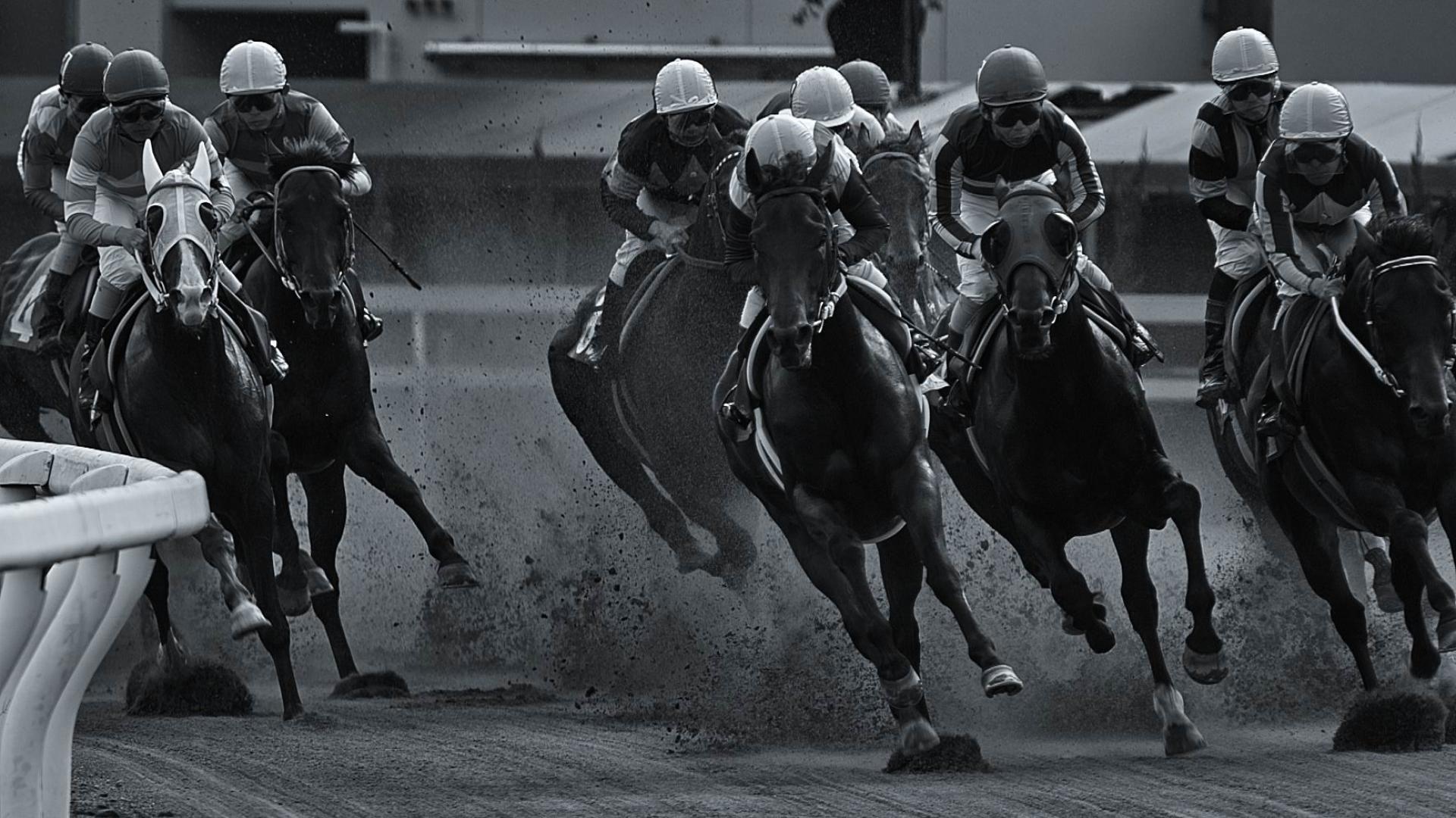 Horse Racing Hot Wallpaper Apps on Google Play. Adorable