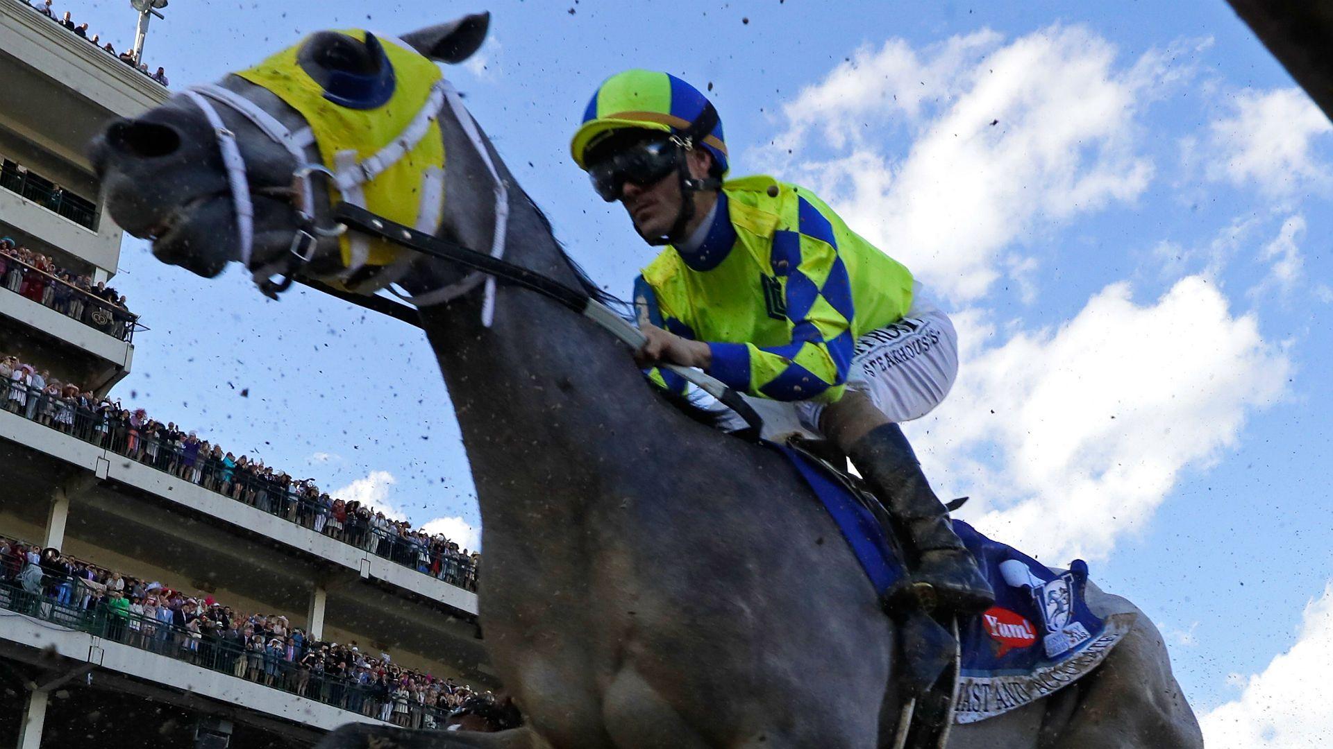 Preakness field shaping up as Always Dreaming eyes Triple Crown