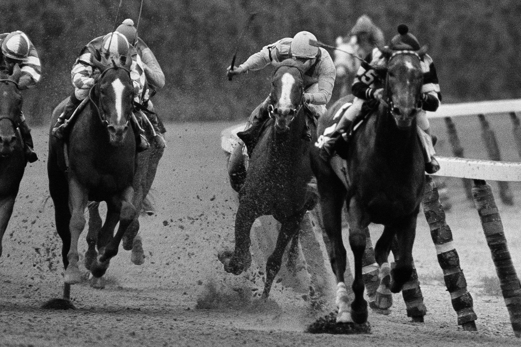 Triple Crown Of Thoroughbred Racing Wallpapers - Wallpaper Cave 