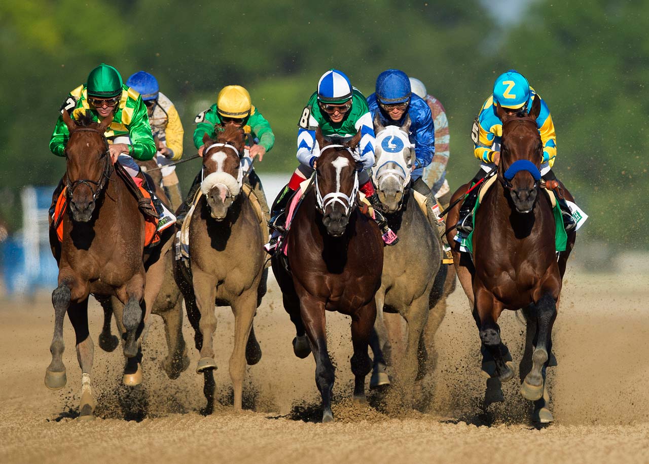 American Pharoah Wins The Triple Crown SI's best photo