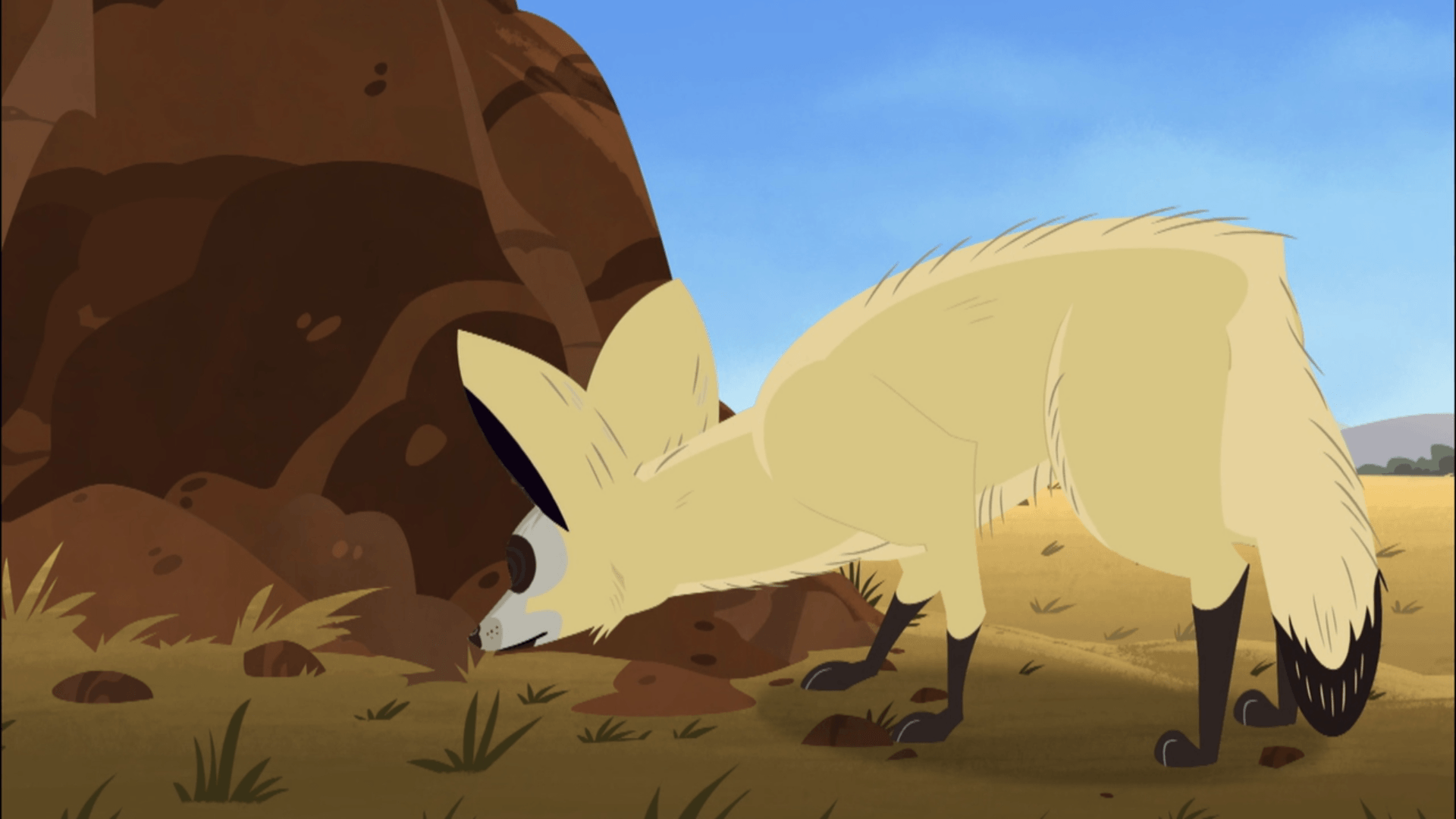 Bat Eared Fox Sniffing.png