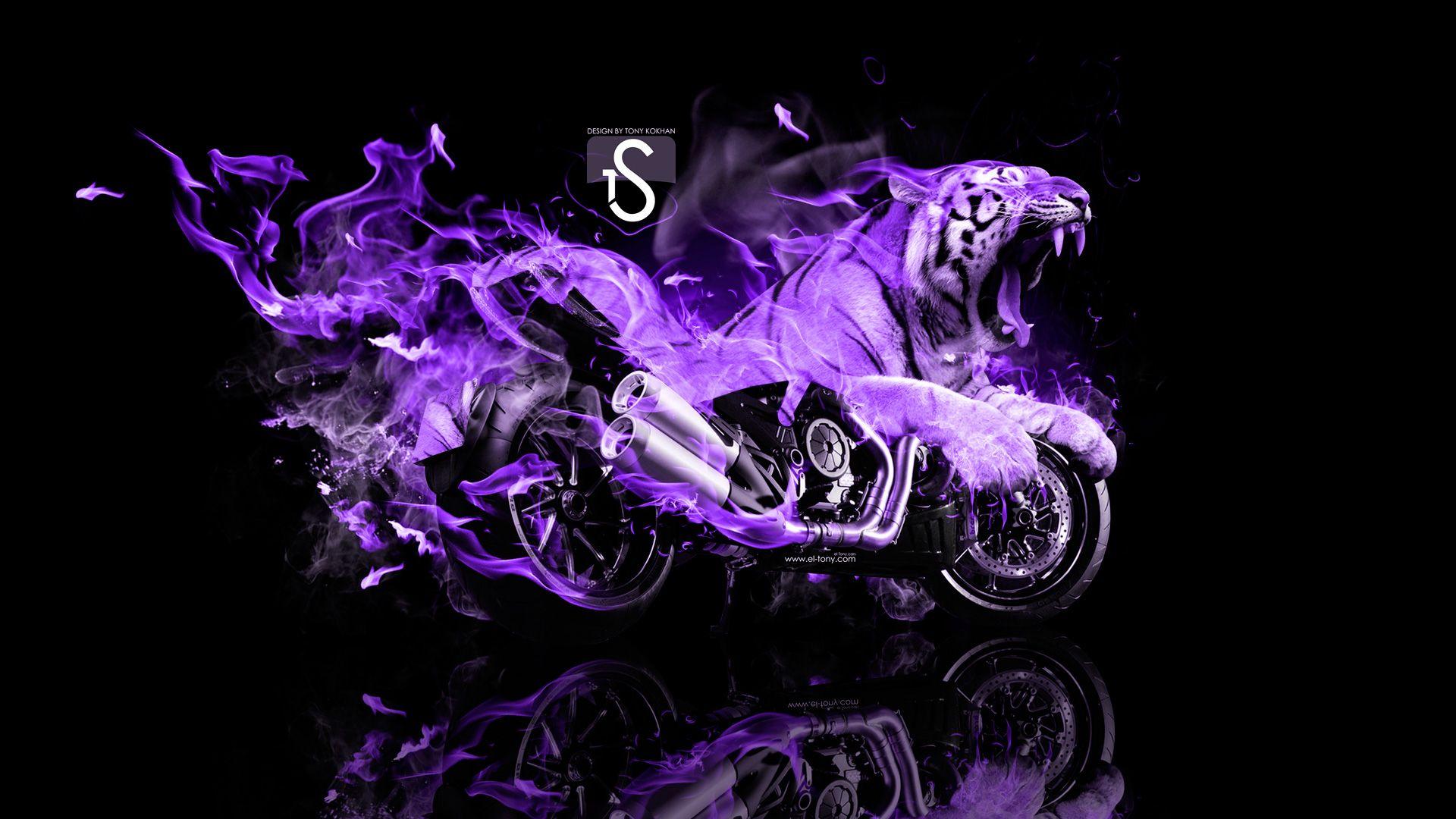 Ducati Diavel Tiger Fire Fantasy 2013