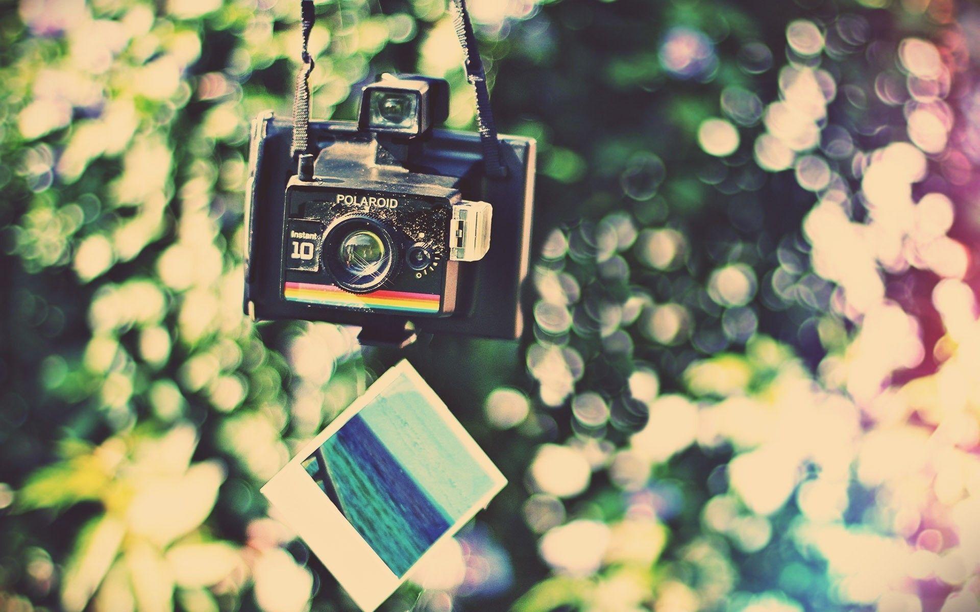 Polaroid HD Wallpaper and Background Image