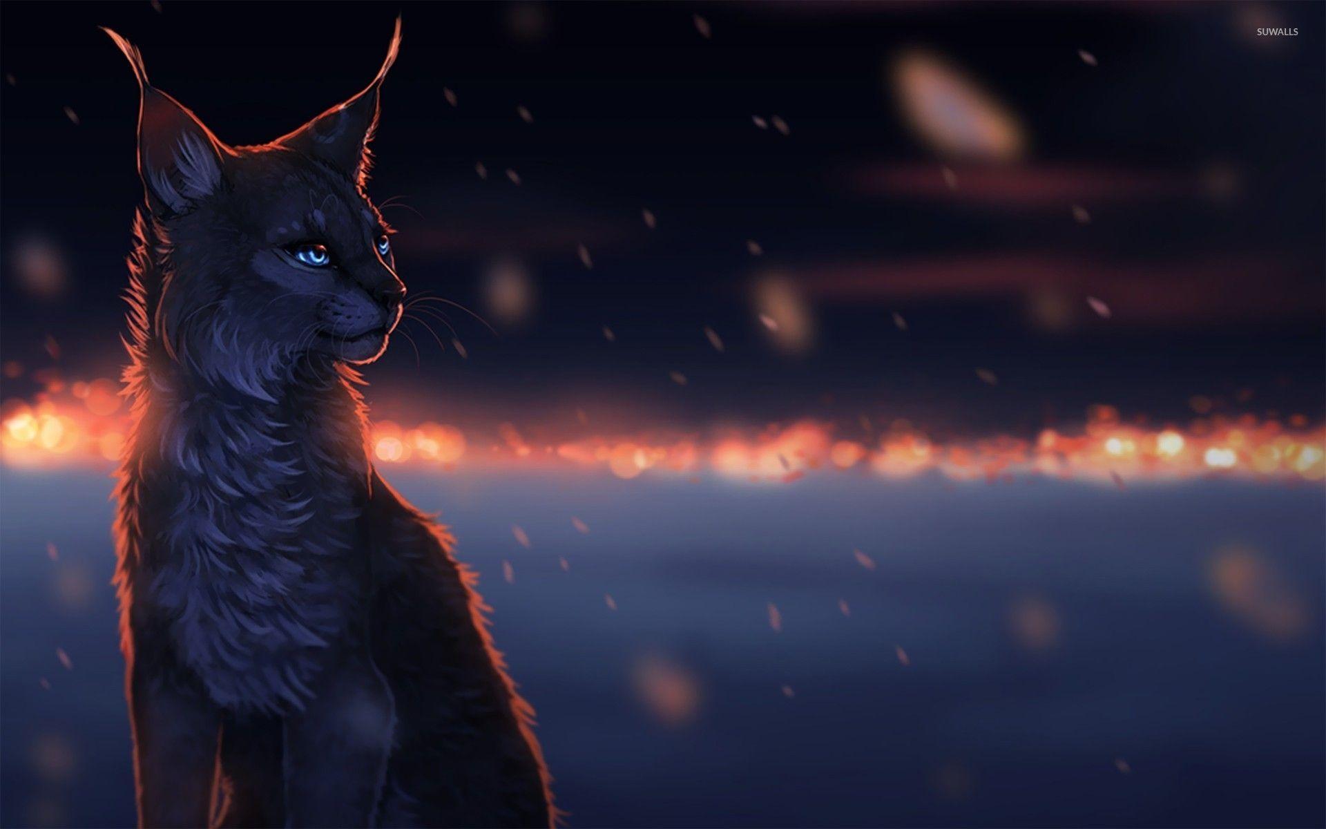 Lynx in the dark wallpaper wallpaper