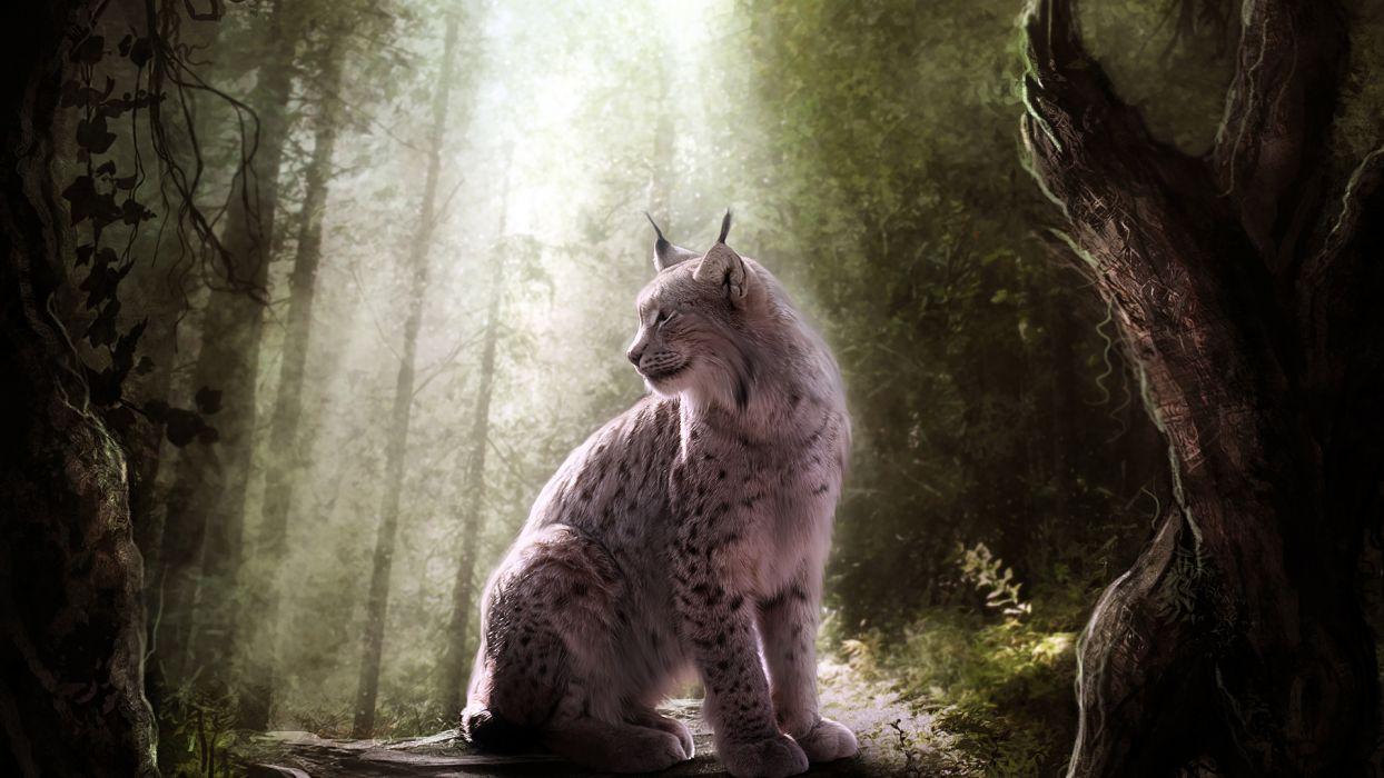 Lynx trees forest wallpaperx1080