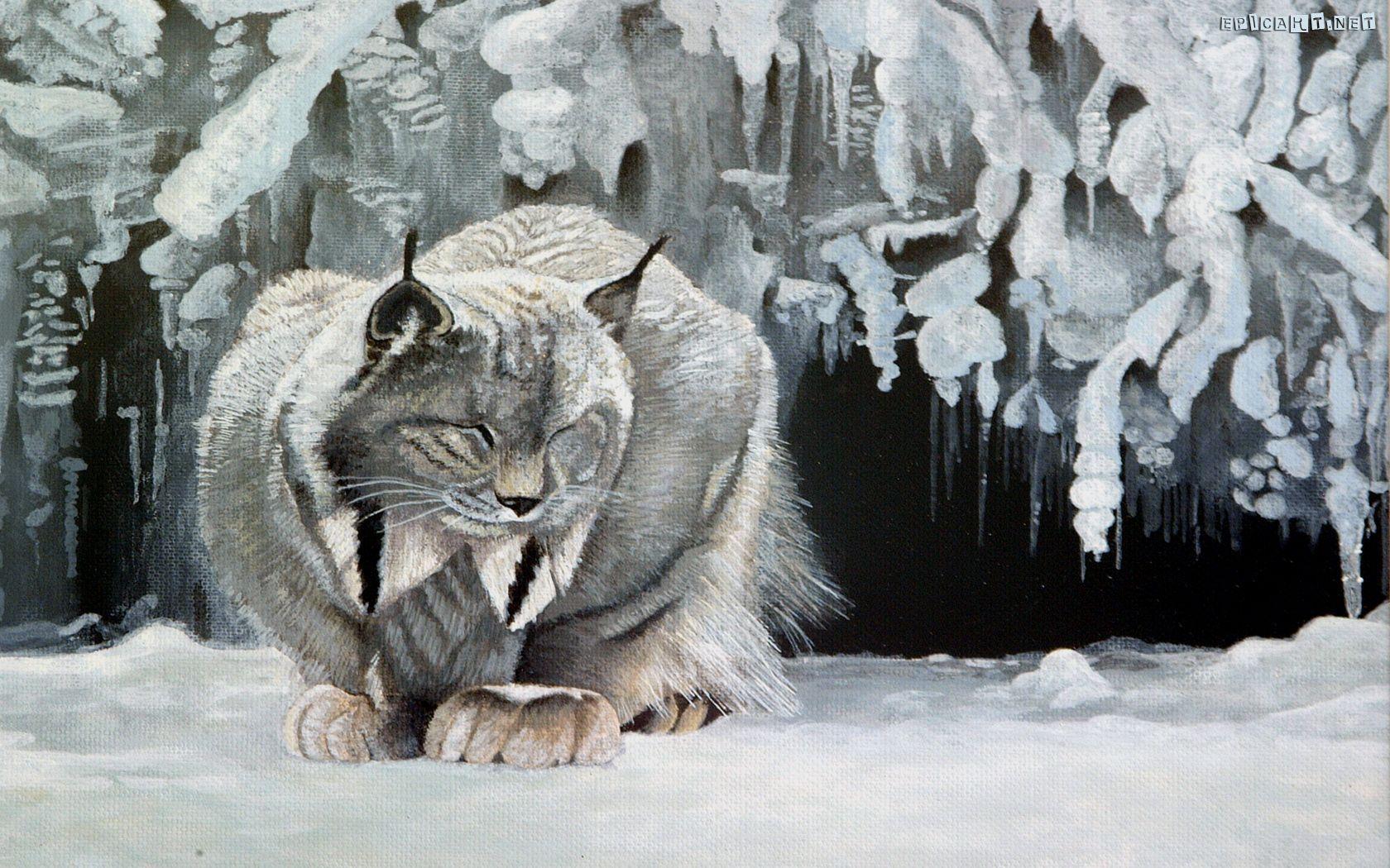 Canadian Lynx Wallpaper