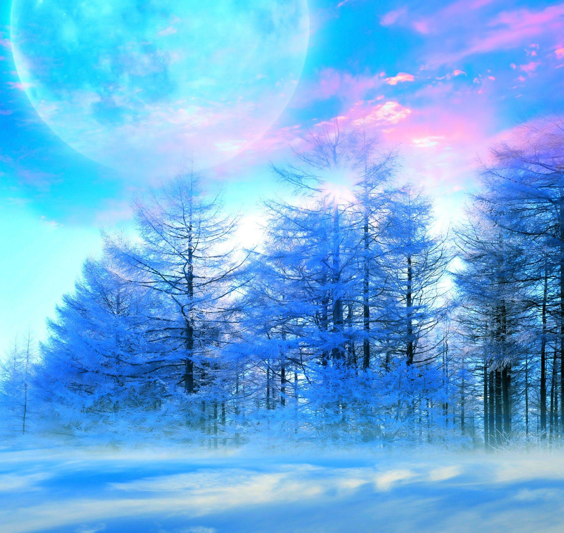 Winter: Winter Sky Nature Trees Snow Moon Beautiful Blue Mist Pink