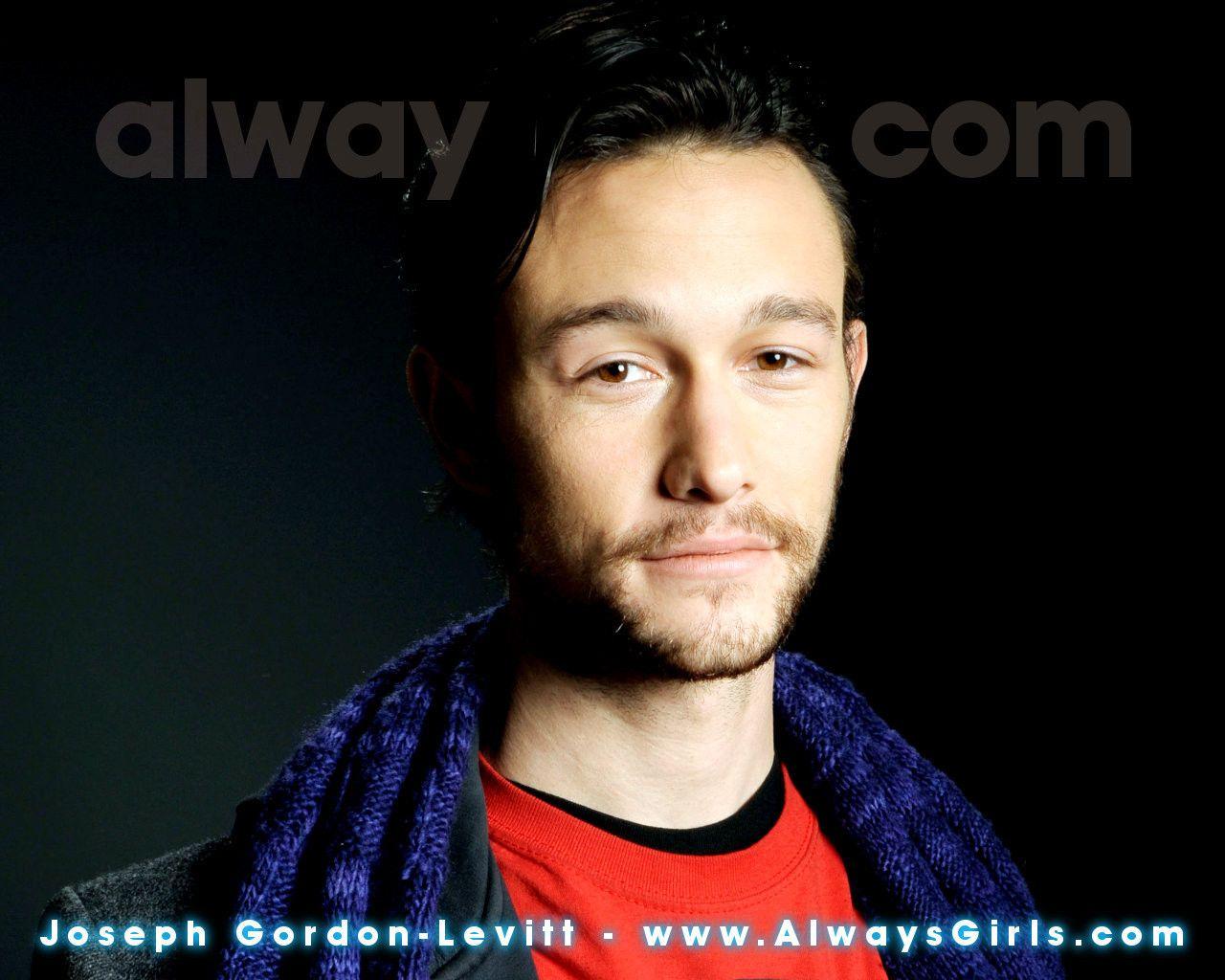 Cat Love: Joseph Gordon Levitt Wallpaper Hd