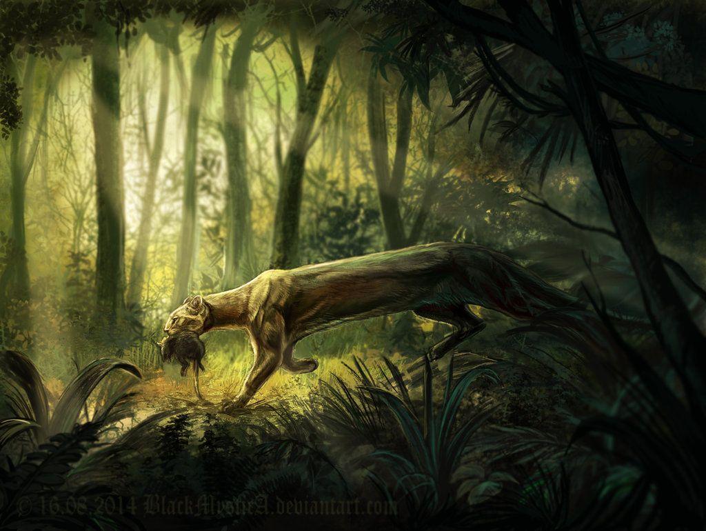 Felidae: the jaguarundi (Herpailurus yaguarondi)
