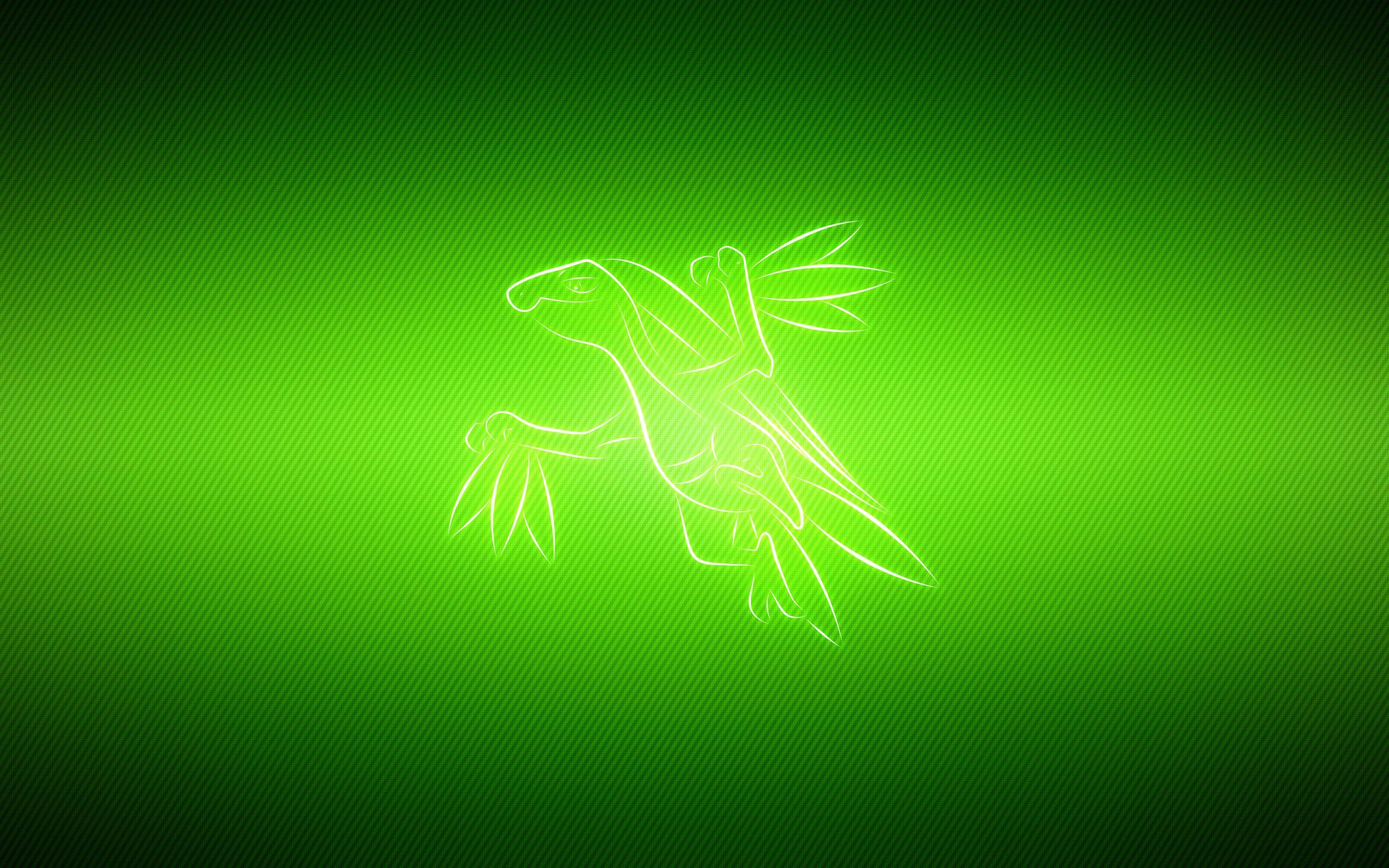 Grovyle Wallpaper. Full HD Picture