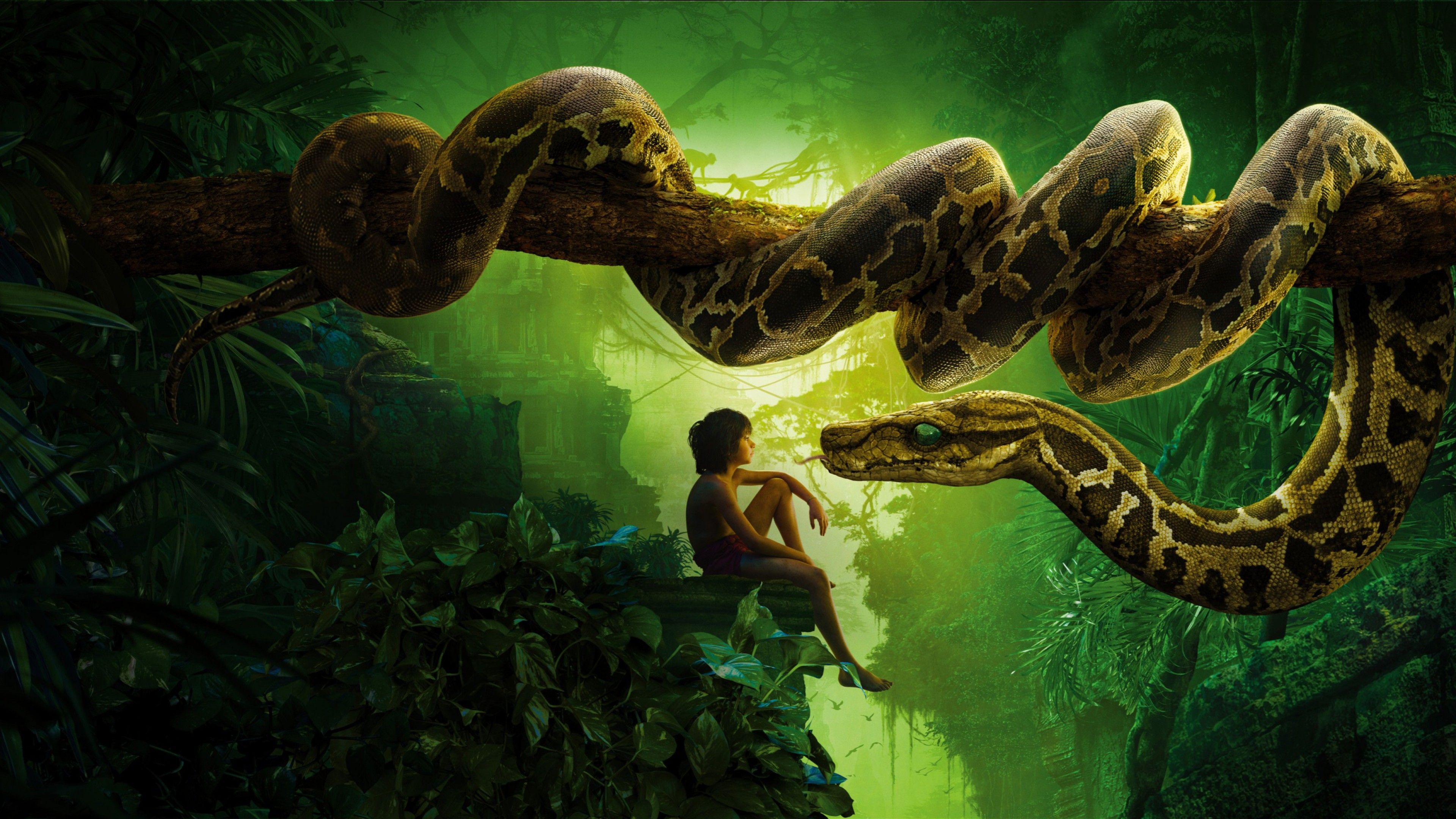 Wallpaper Jungle Book, Mowgli, Kaa, Snake, Movies