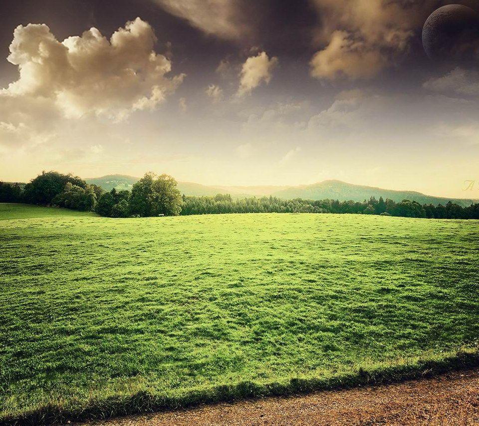 green ground wallpaper HD green ground wallpaper for android