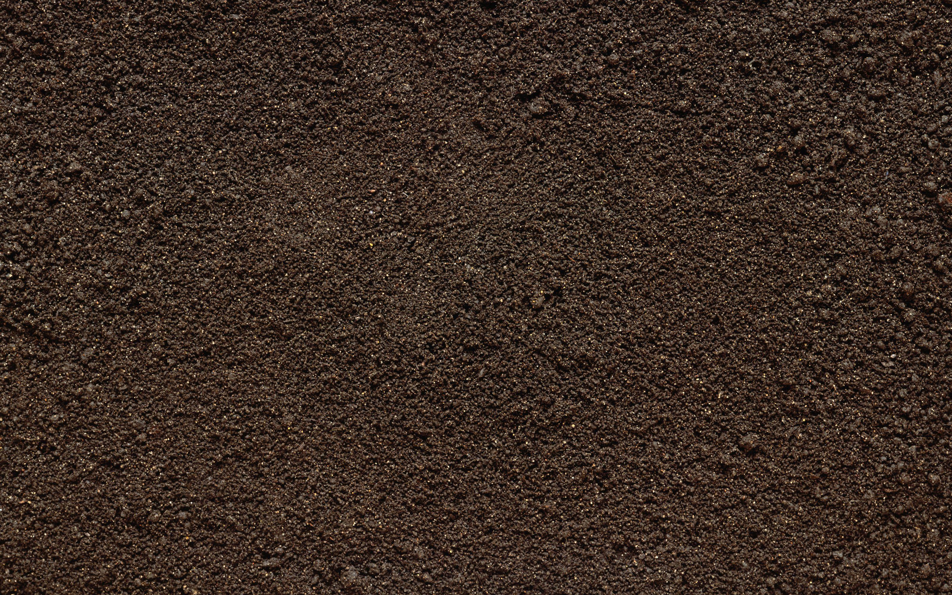 Soil HD Wallpaper and Background Image