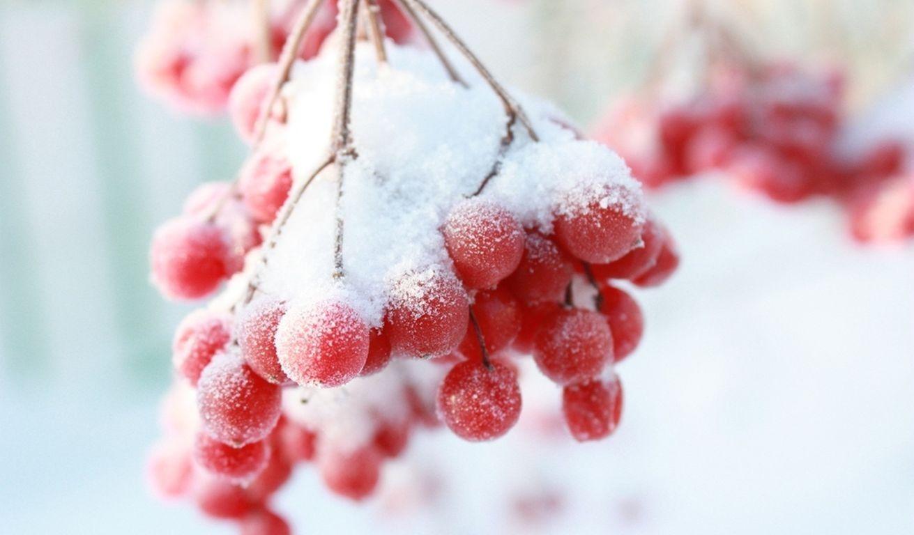 Berry Wallpapers - Wallpaper Cave