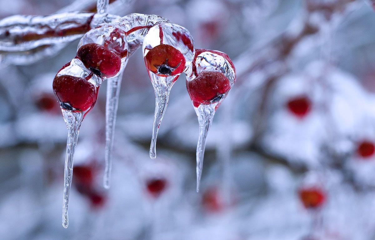 Marvelous Winter Wallpaper