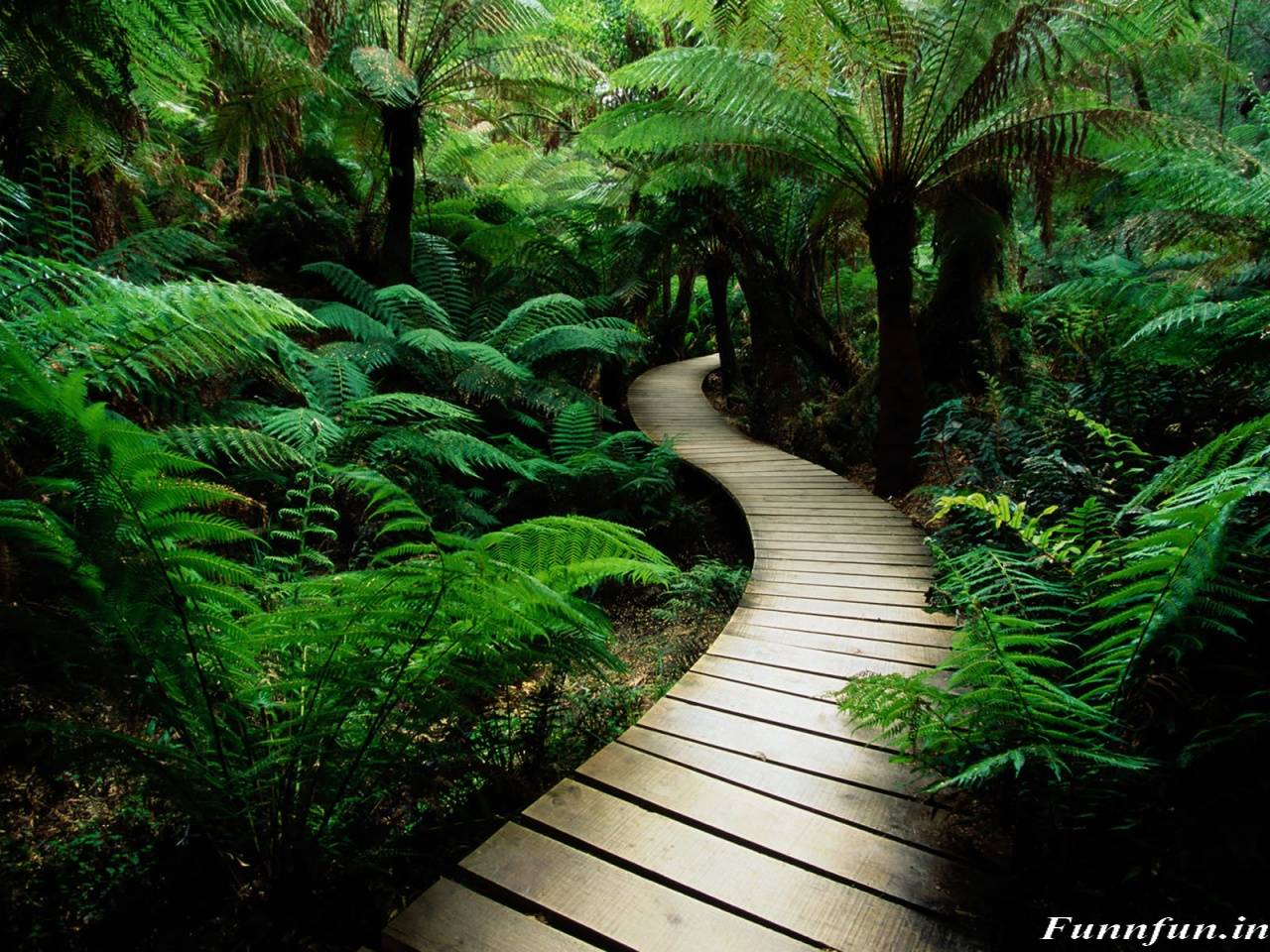 Background Nature Image With Latest Wallpaper Picture Download HD