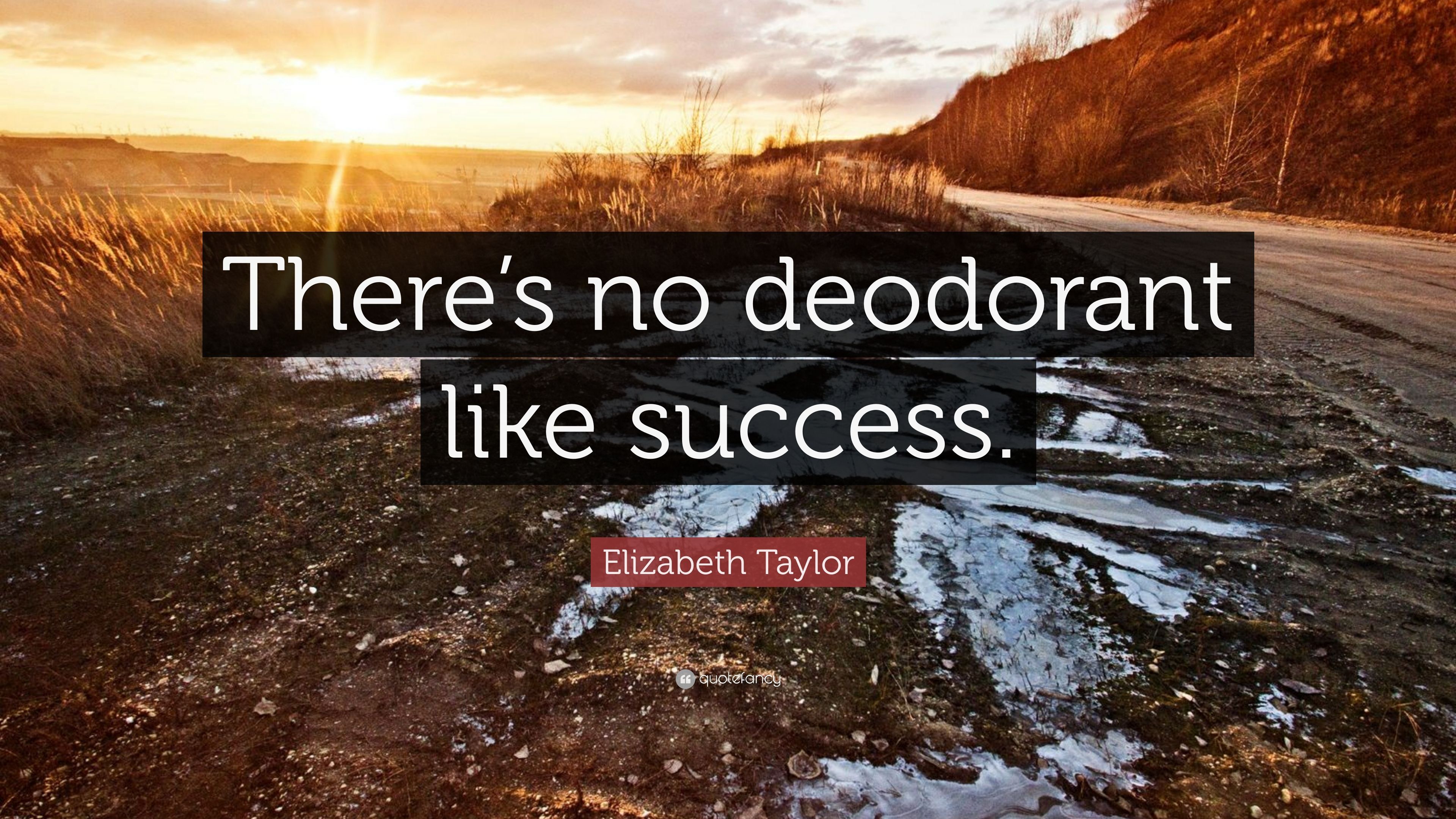 Elizabeth Taylor Quote: “There's no deodorant like success.” 7