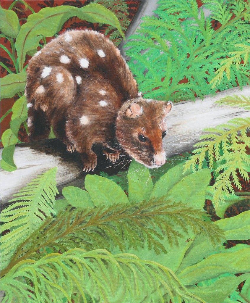 Spotted Quoll by Tasmanina artist Susan Parsons. Oil on canvas
