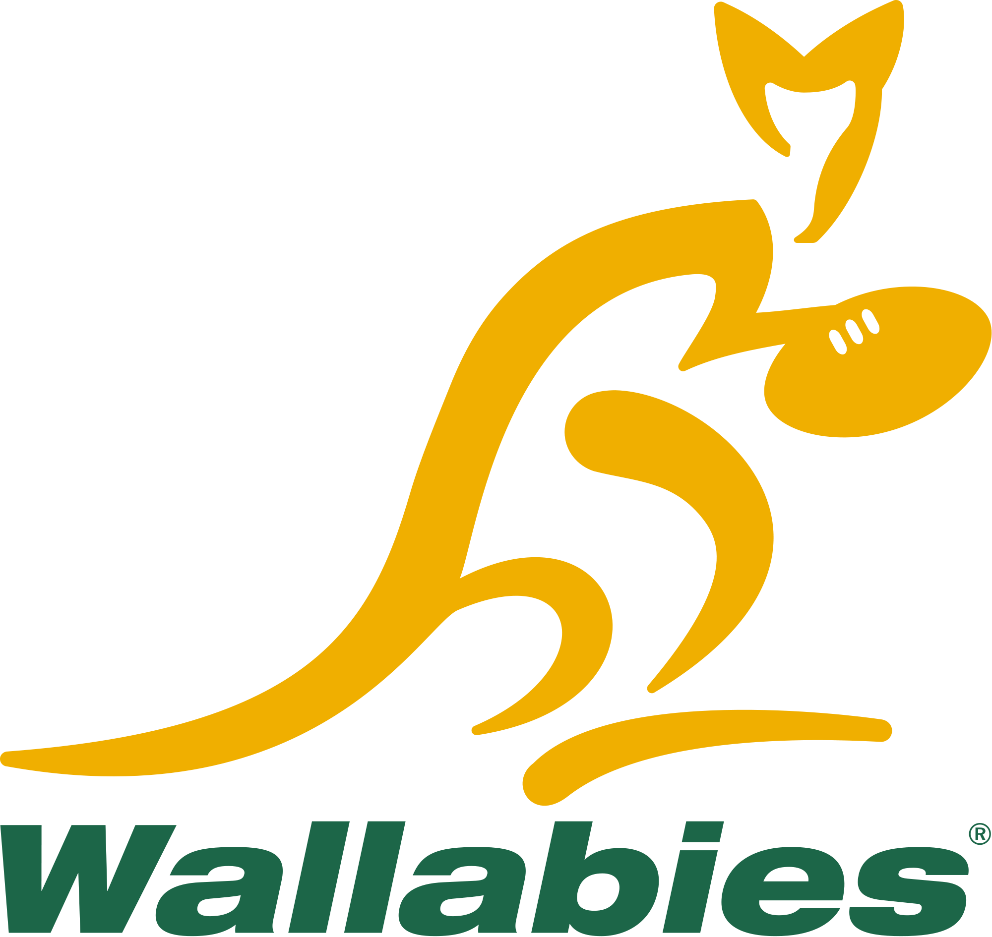 The Wallabies, the Australian rugby union team. The Australian team