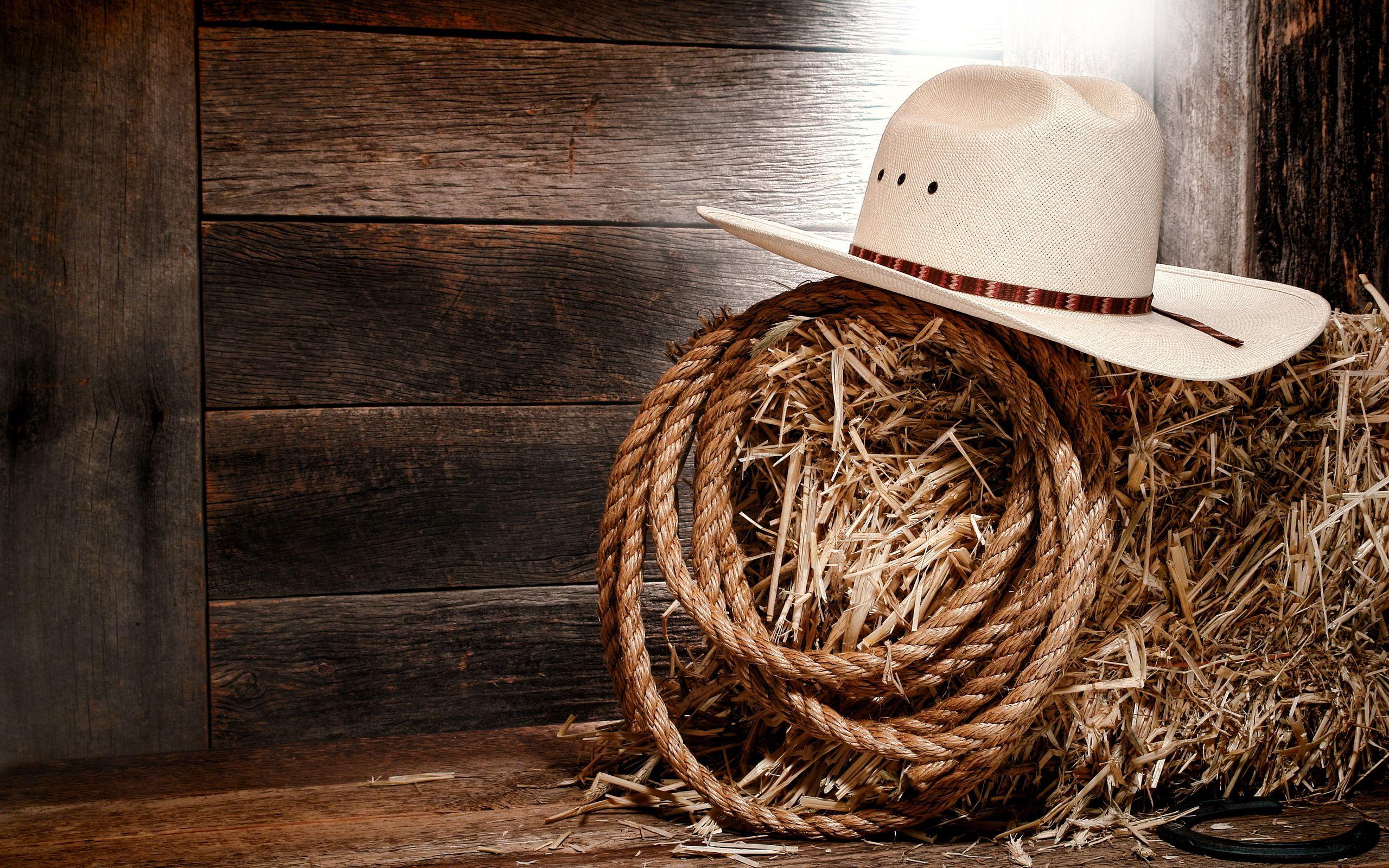 Rope and Cowboy Hat on a Bale of Hay HD Wallpaper