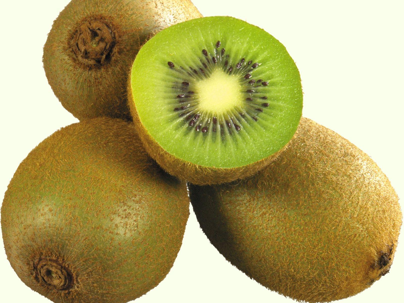 Gallery by tag: kiwi wallpaper