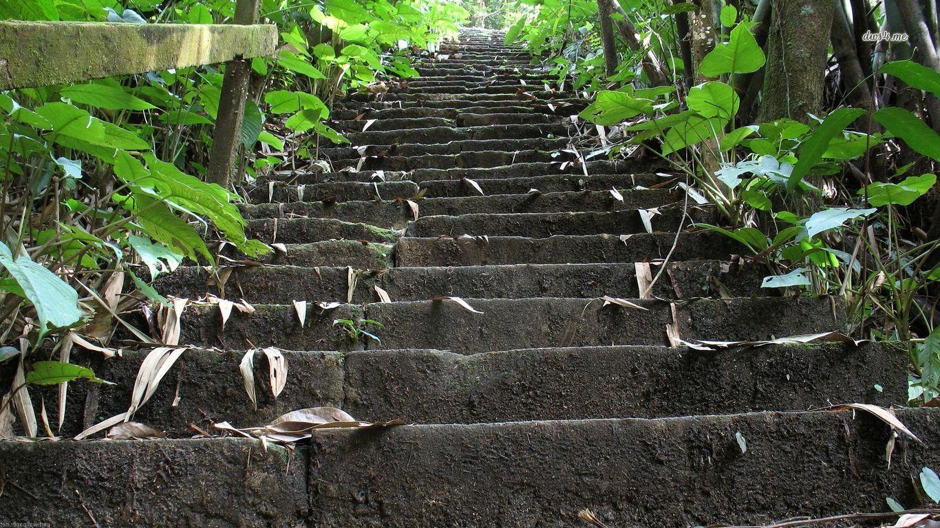 stairs Wallpaper and Background Imagex768