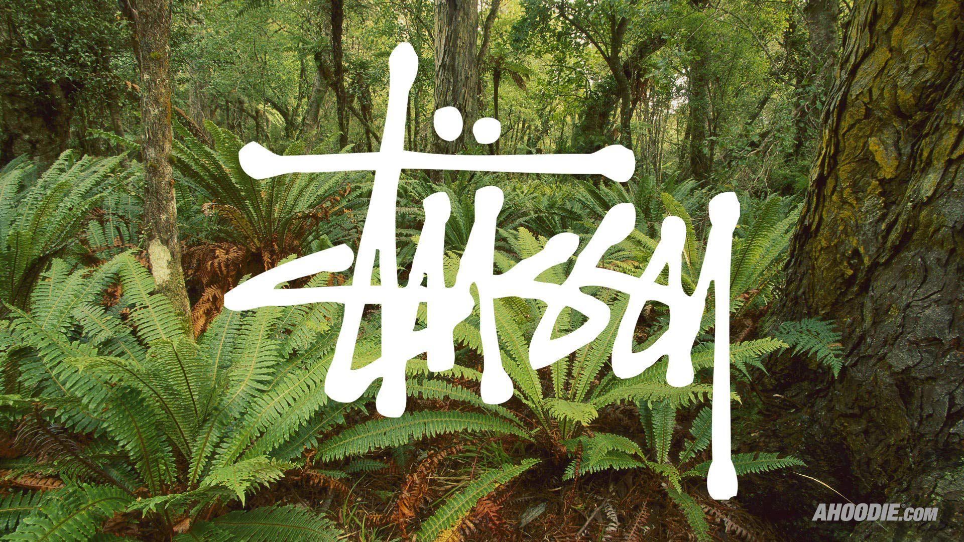 Stussy Wallpapers  Top Free Stussy Backgrounds  WallpaperAccess
