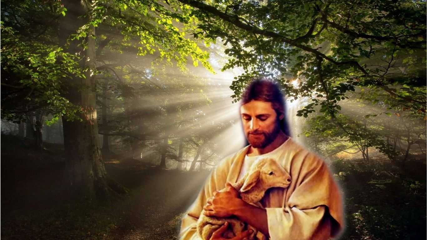 Background Of Jesus Wallpaper HD Full Pics Pc Qimplink 1080p