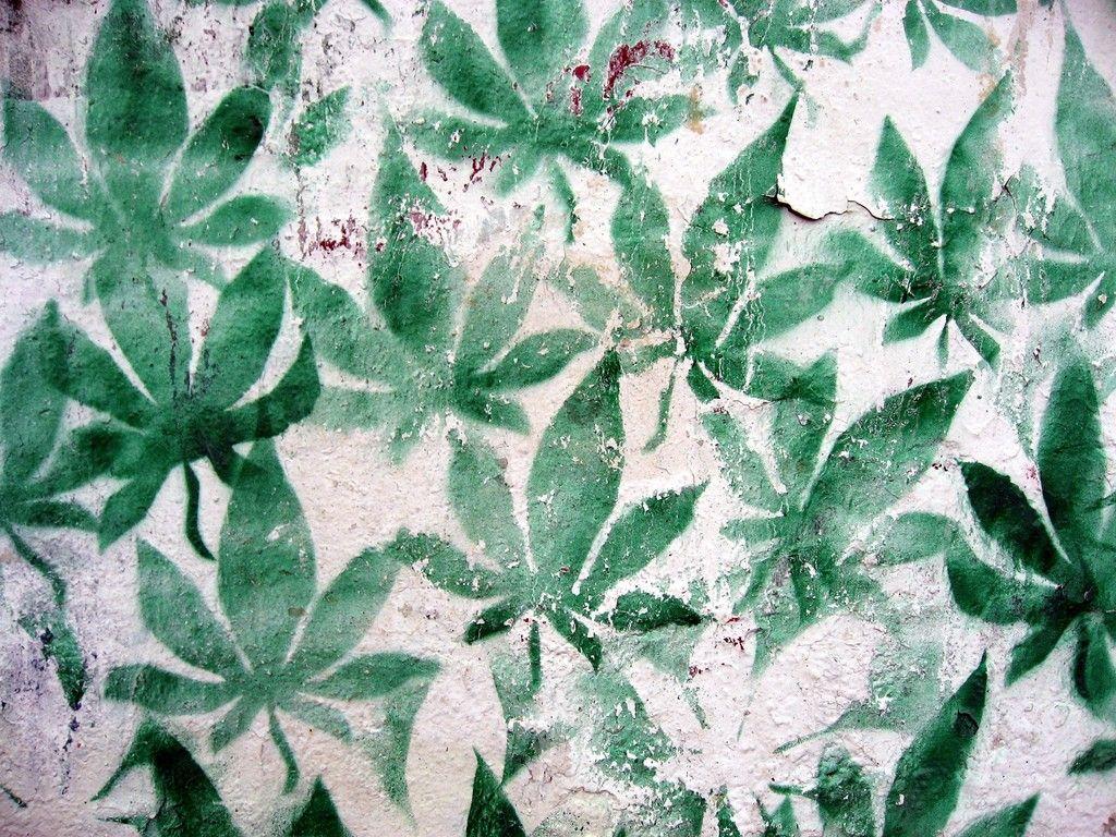 No Uruguai, maconha legal será rastreável e terá limite de THC