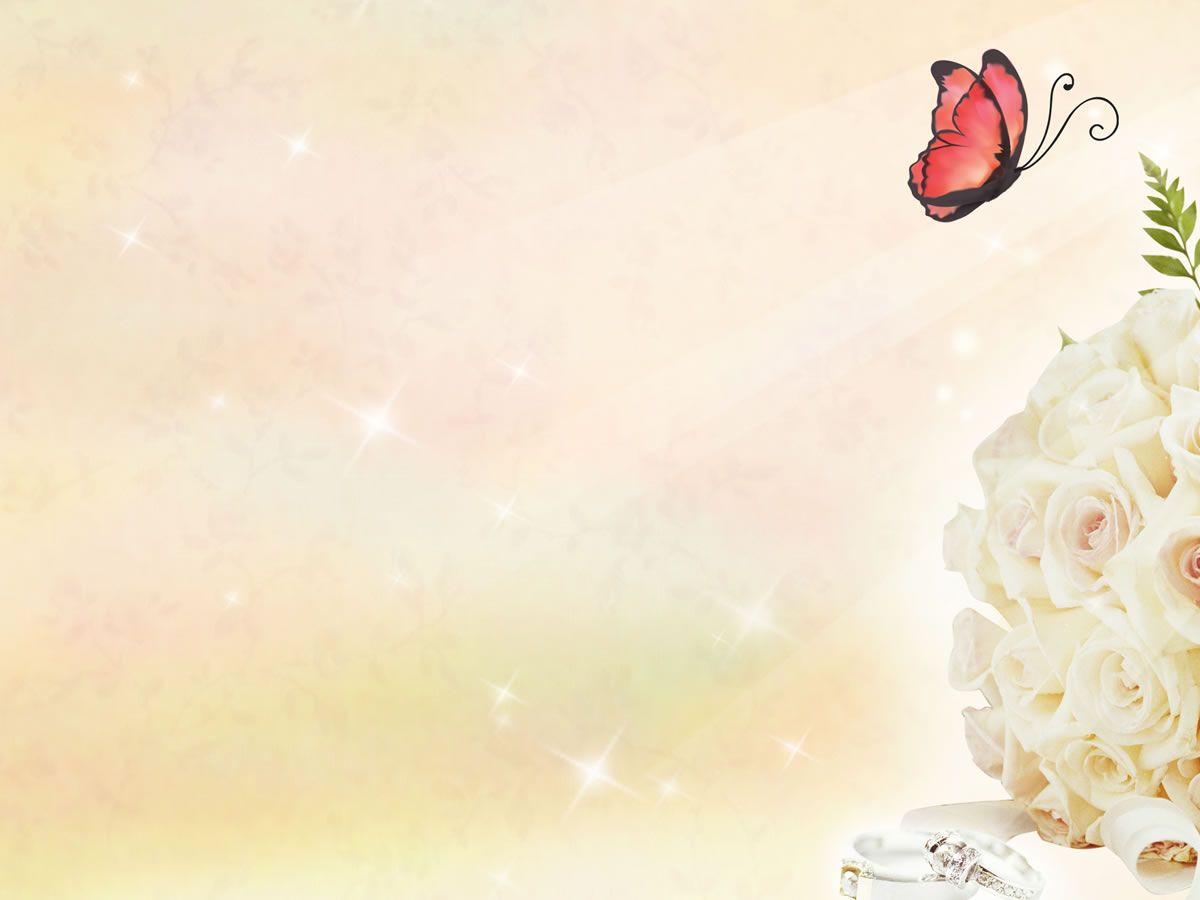 Free Butterfly And Roses Background For PowerPoint PPT