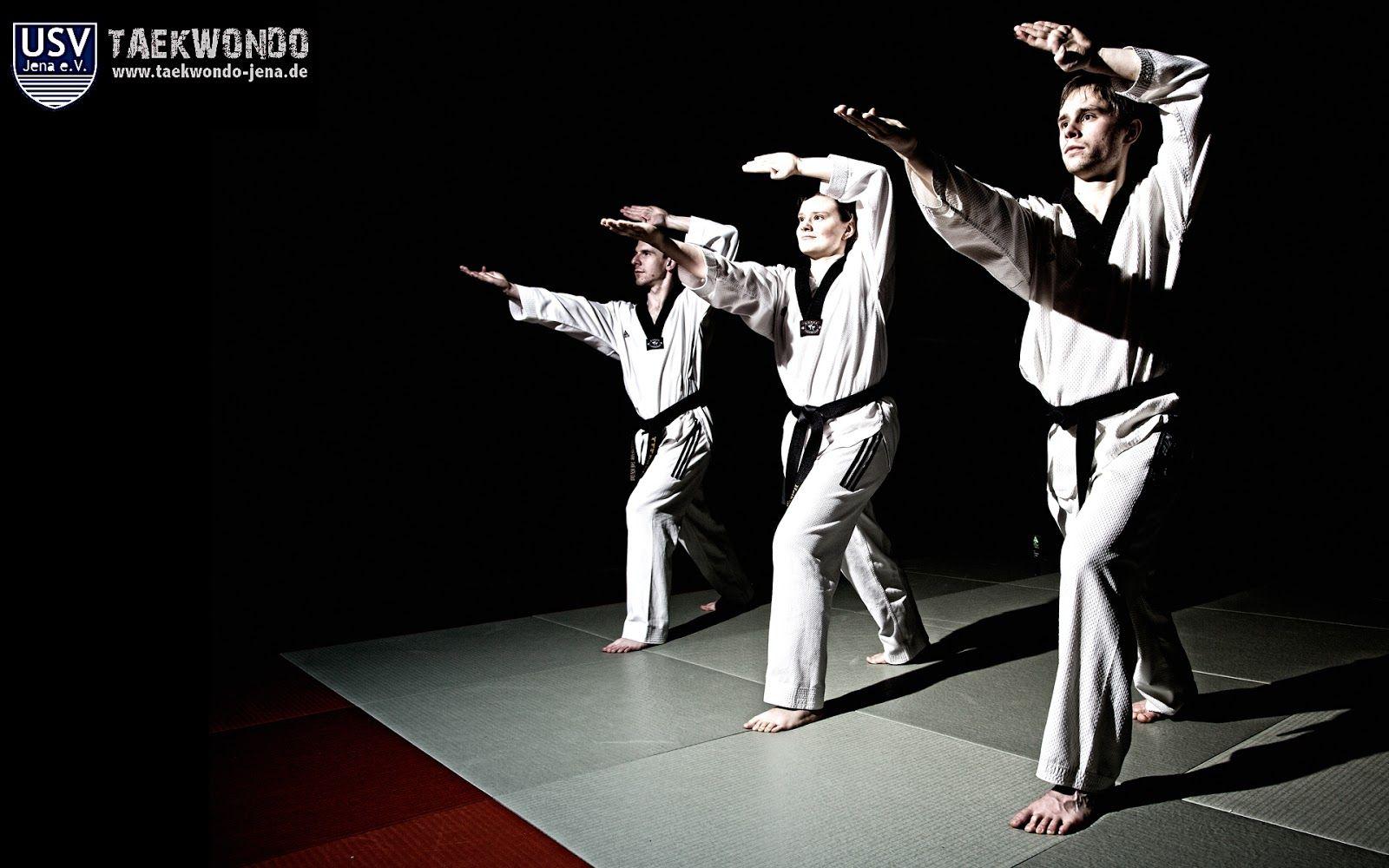 video learn Taekwondo Blog Learn Kungfu Online