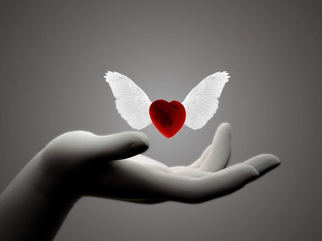 Wonderful Symbol of Love HD Photo Picture Image Wallpaper
