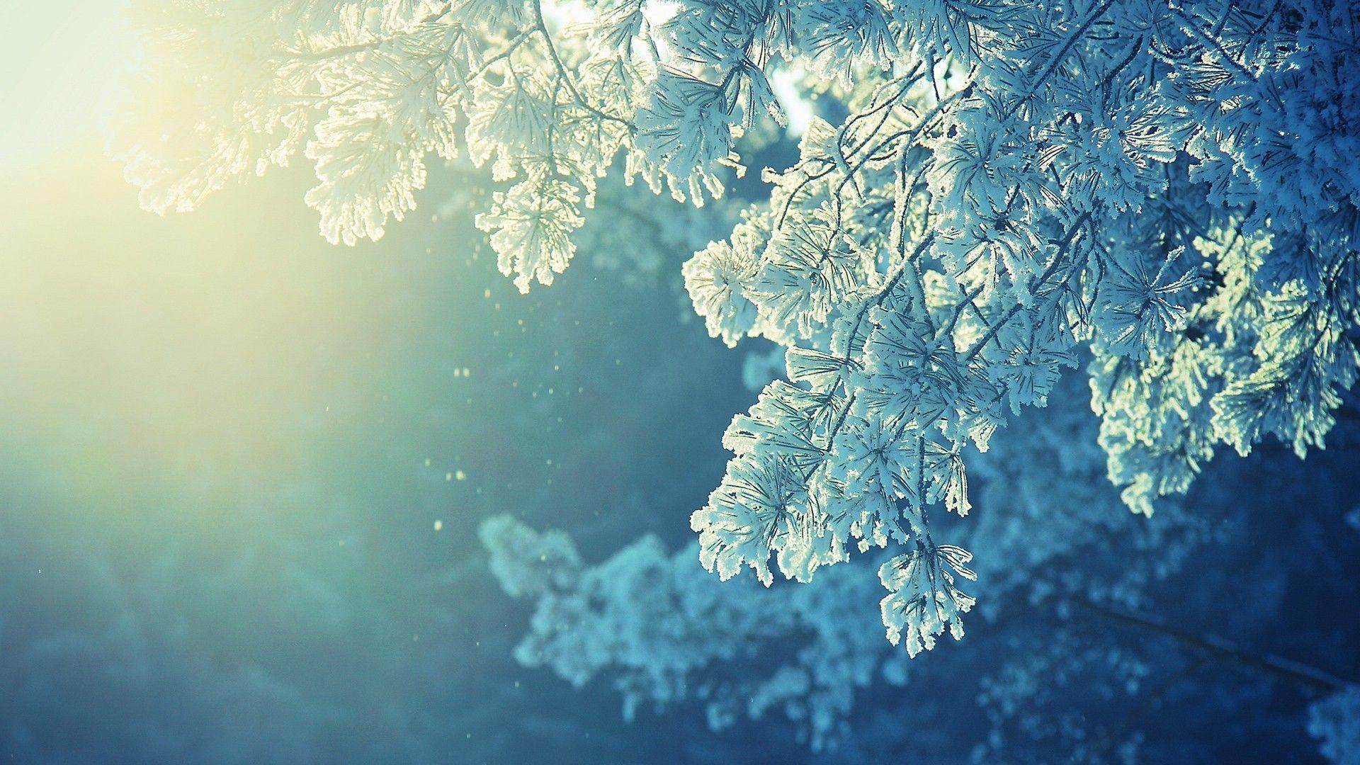 Peaceful Winter Backgrounds