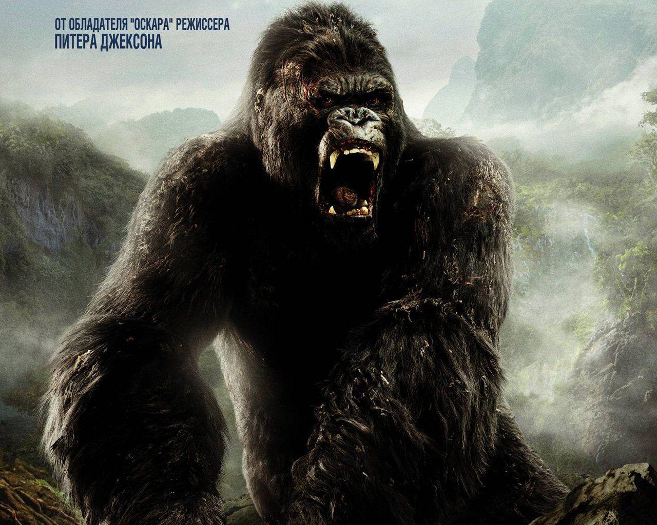 King Kong Wallpapers (35+ images inside)