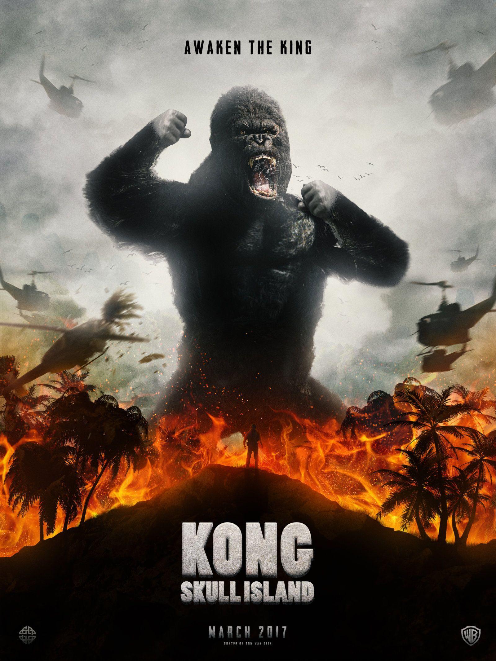 Kingkong And Panda Wallpapers - Wallpaper Cave