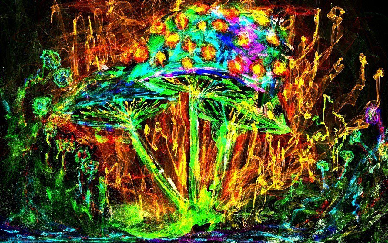 psychedelic, Mushroom HD Wallpaper / Desktop and Mobile Image & Photo