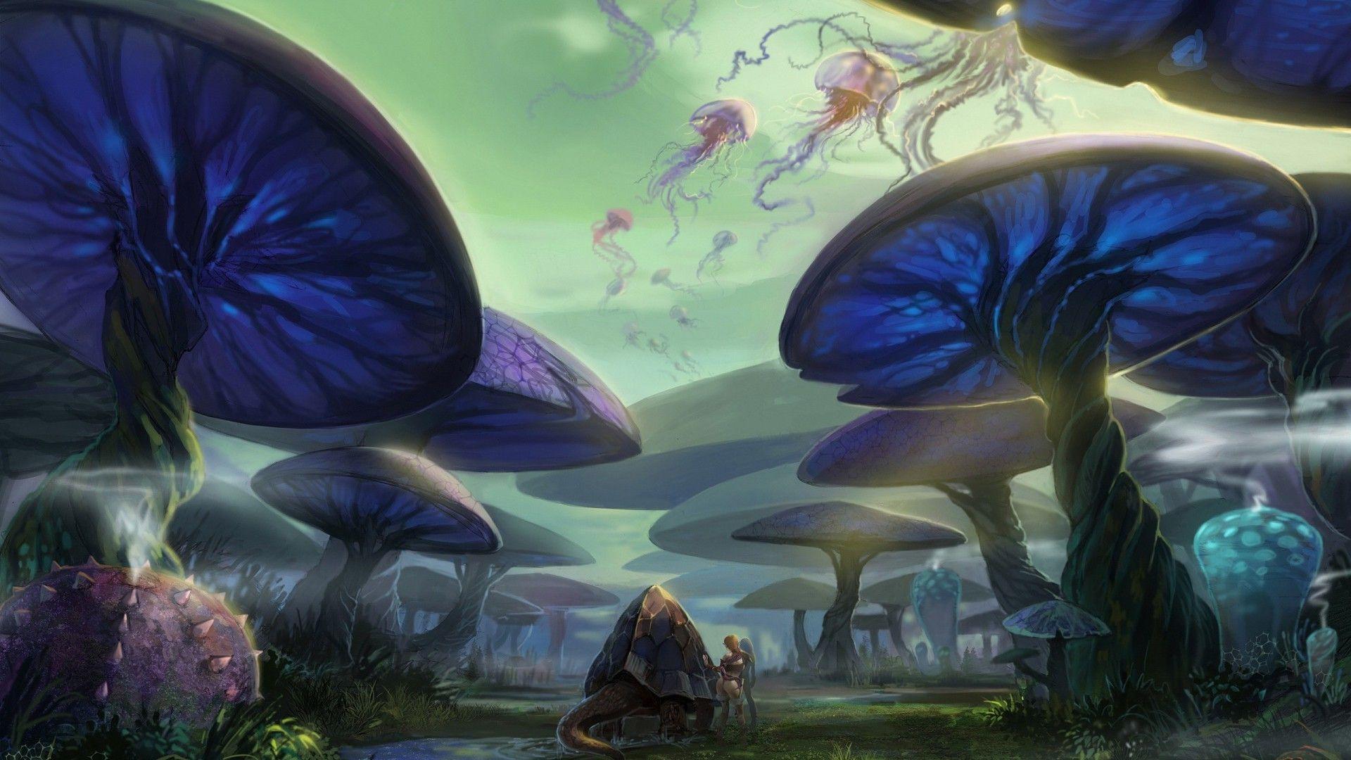 fantasy Art, Magic Mushrooms Wallpaper HD / Desktop and Mobile
