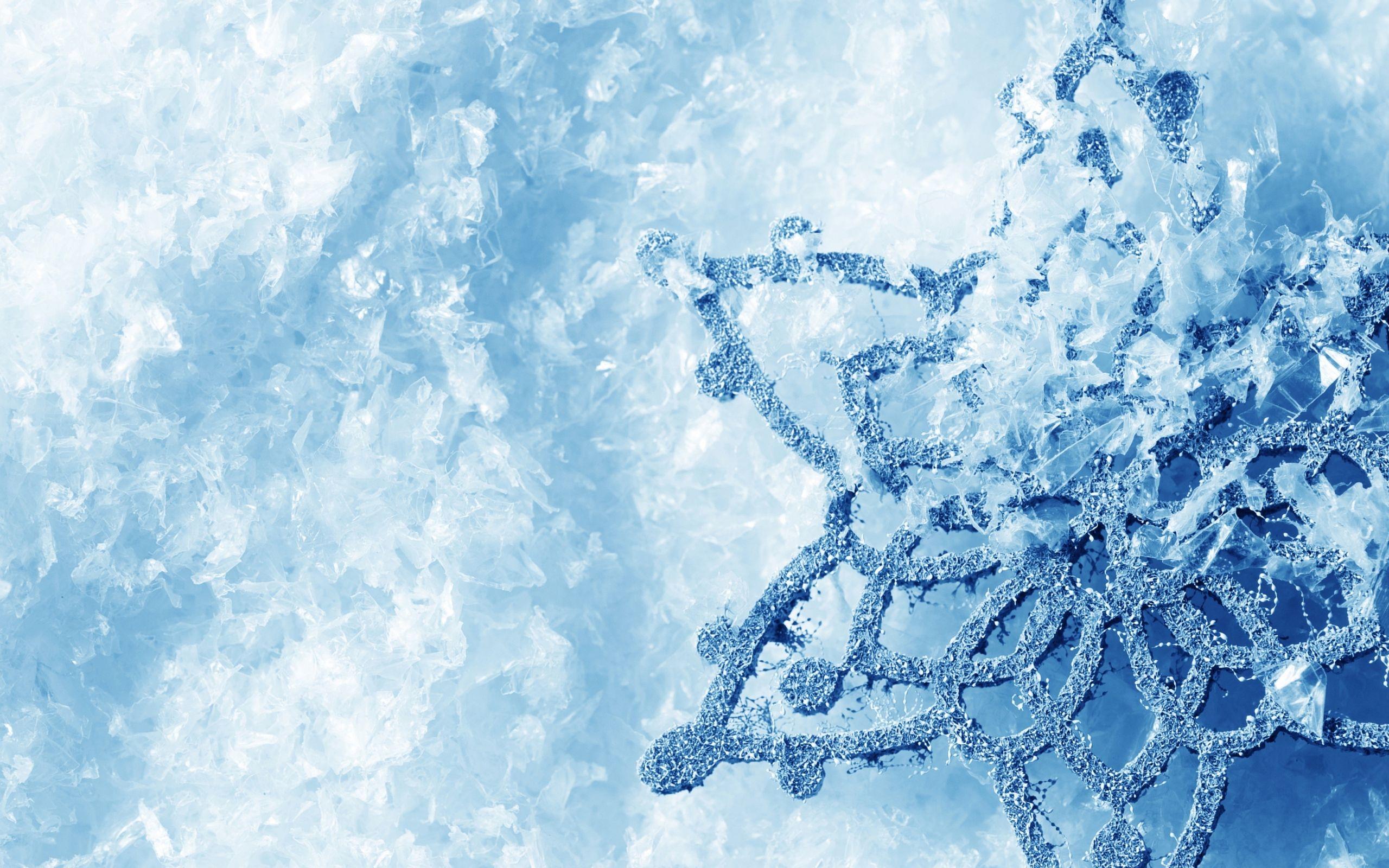 Snowflake Wallpaper HD, Desktop Background 2560x1600