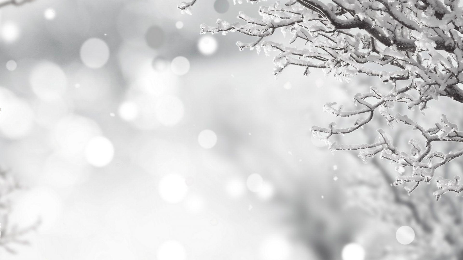Winter: Splendor Christmas Xmas Bokeh Merry Time Magic Snow Holidays