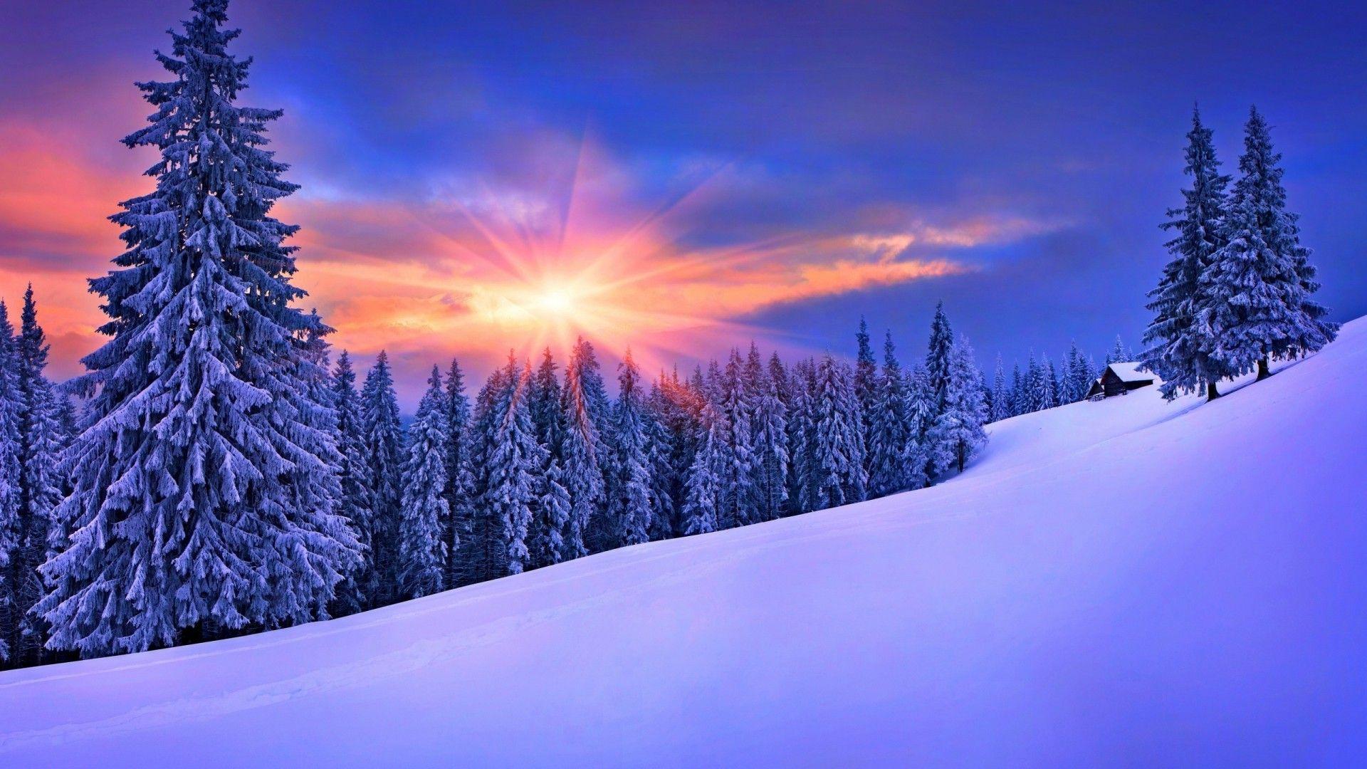 nature, Winter, Landscape, Snow Wallpaper HD / Desktop and Mobile