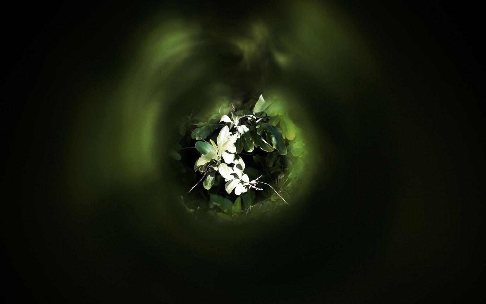 Best Wallpaper: Widescreen Wallpaper HD Free Download